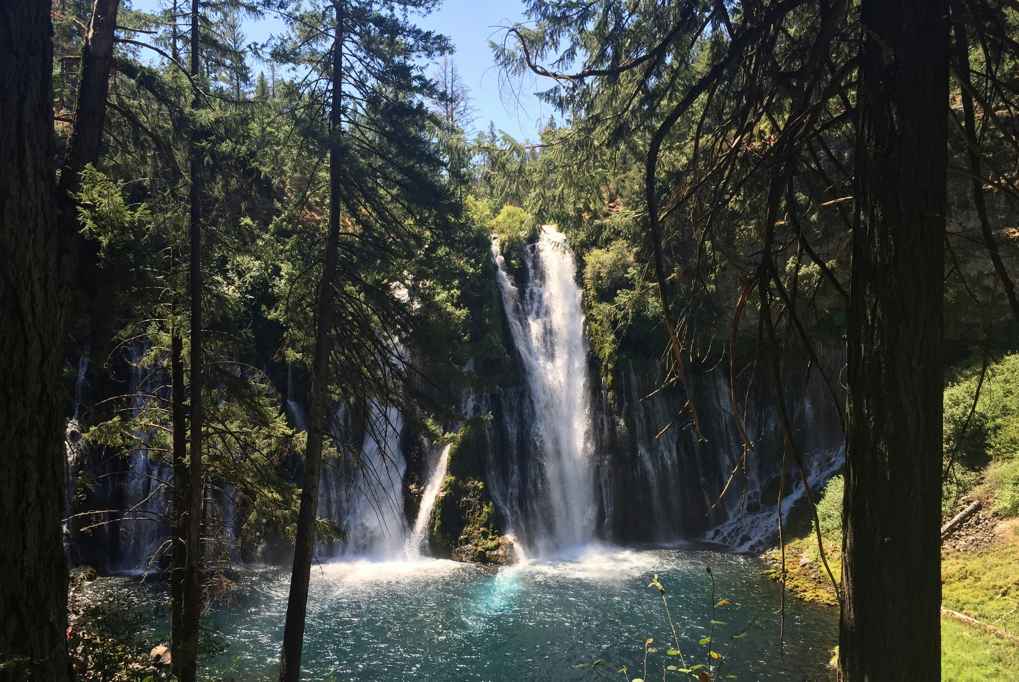 Free Unsplash photo from Ryan Johnson