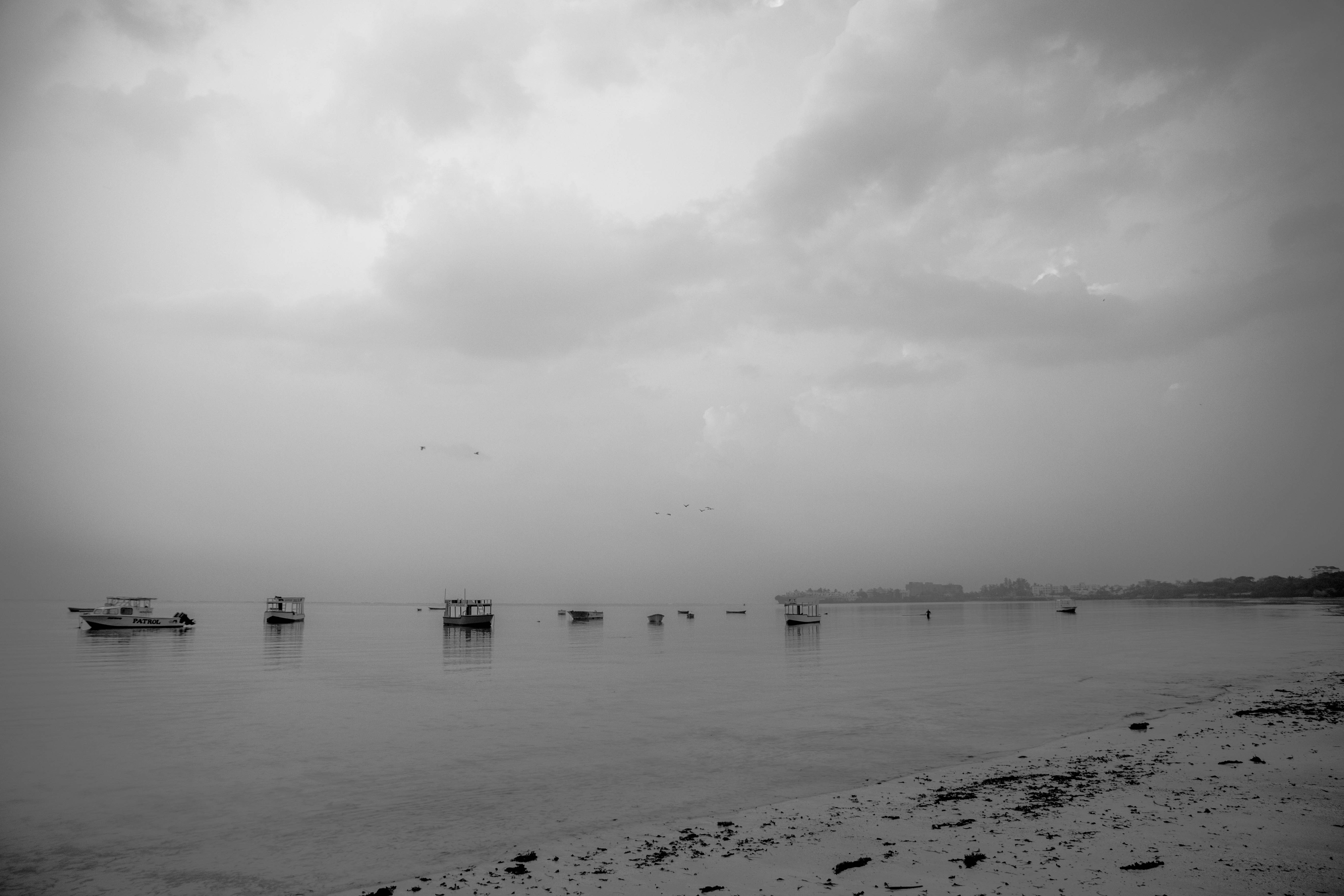 Free Unsplash photo from Ivy Mpigajipicha