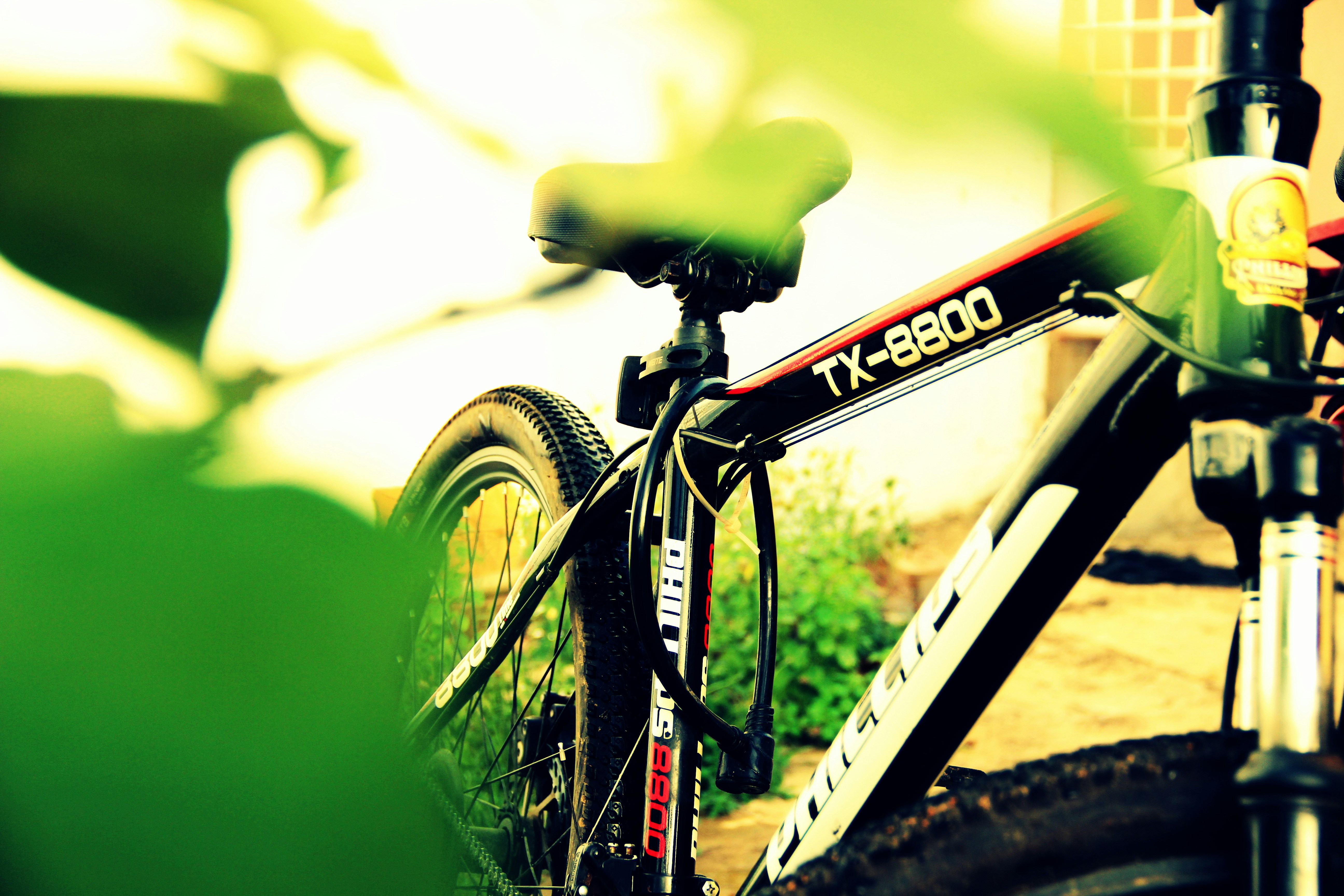 Free Unsplash photo from Abishek Babu