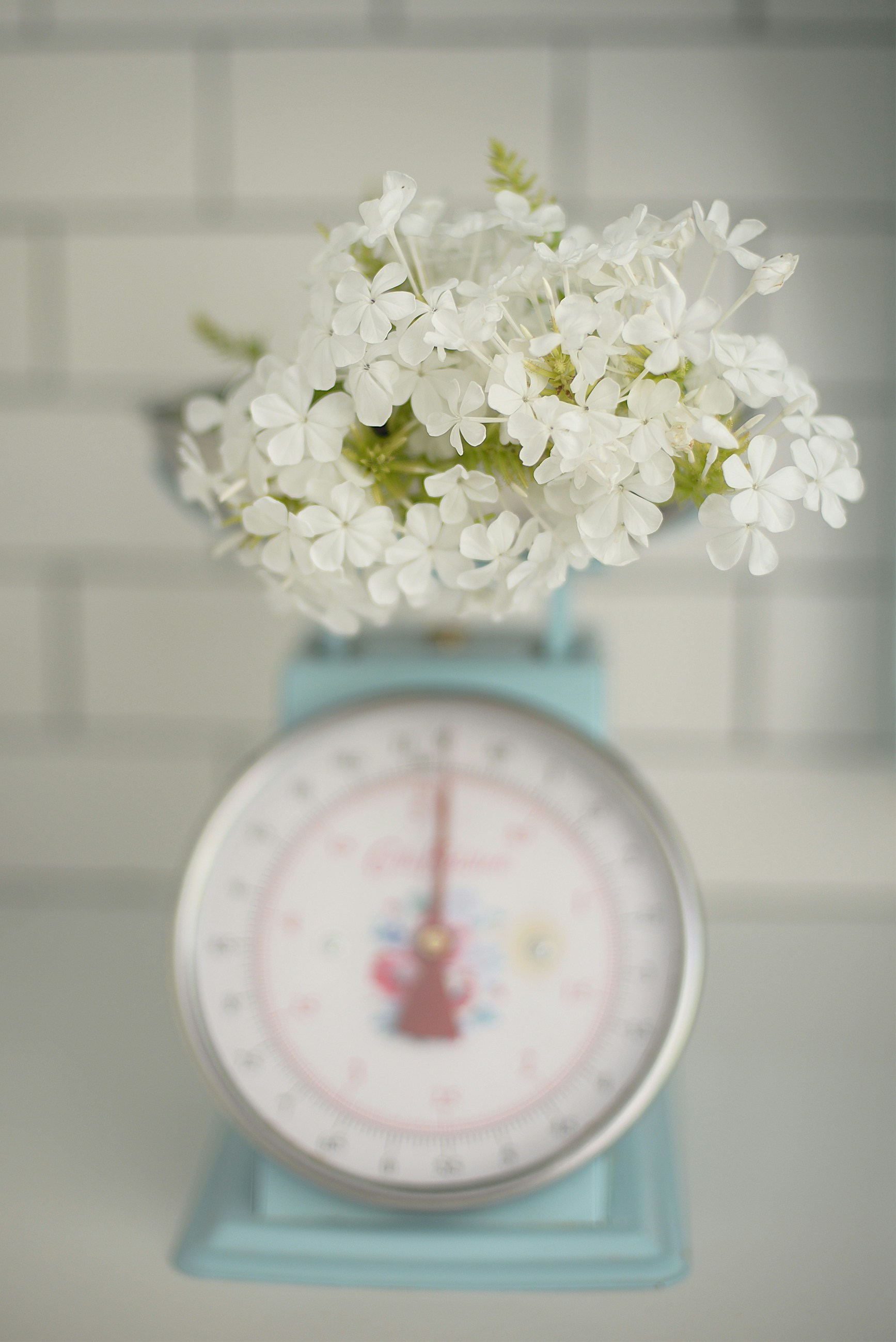 Free Unsplash photo from loli Clement