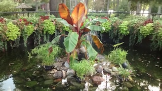 A naturalistic garden corner featuring a small pond and diverse plants attracting wildlife.