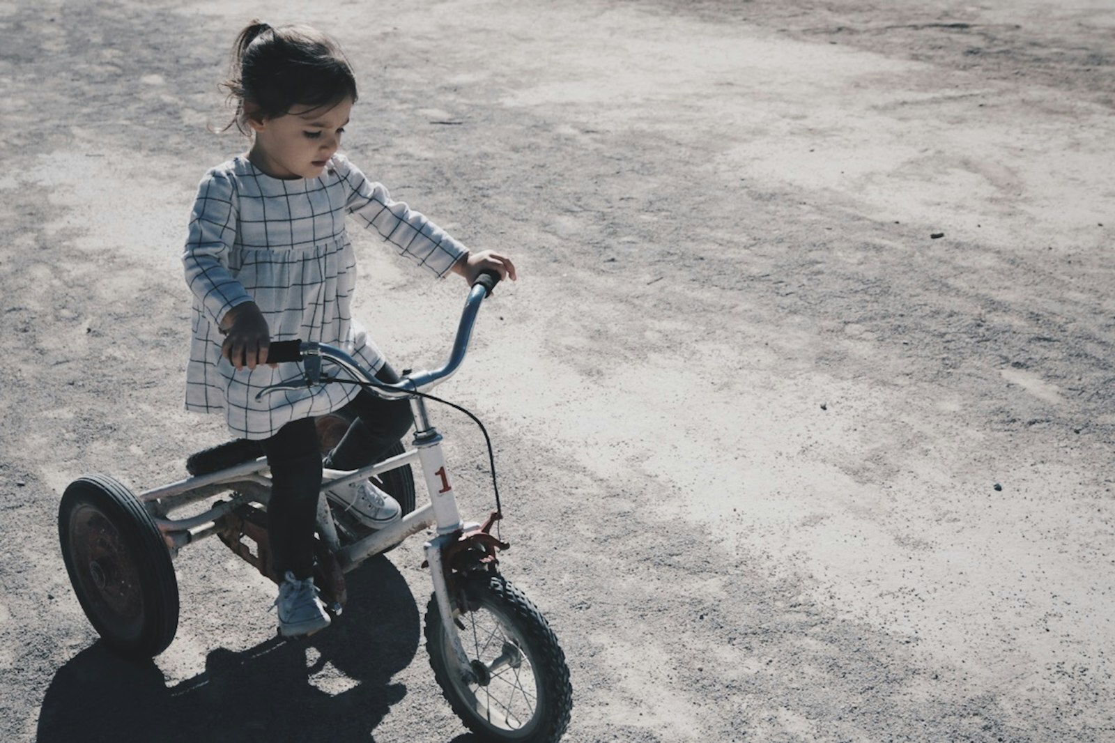 Tamron AF 28-75mm F2.8 XR Di LD Aspherical (IF) sample photo. Girl riding trike photography