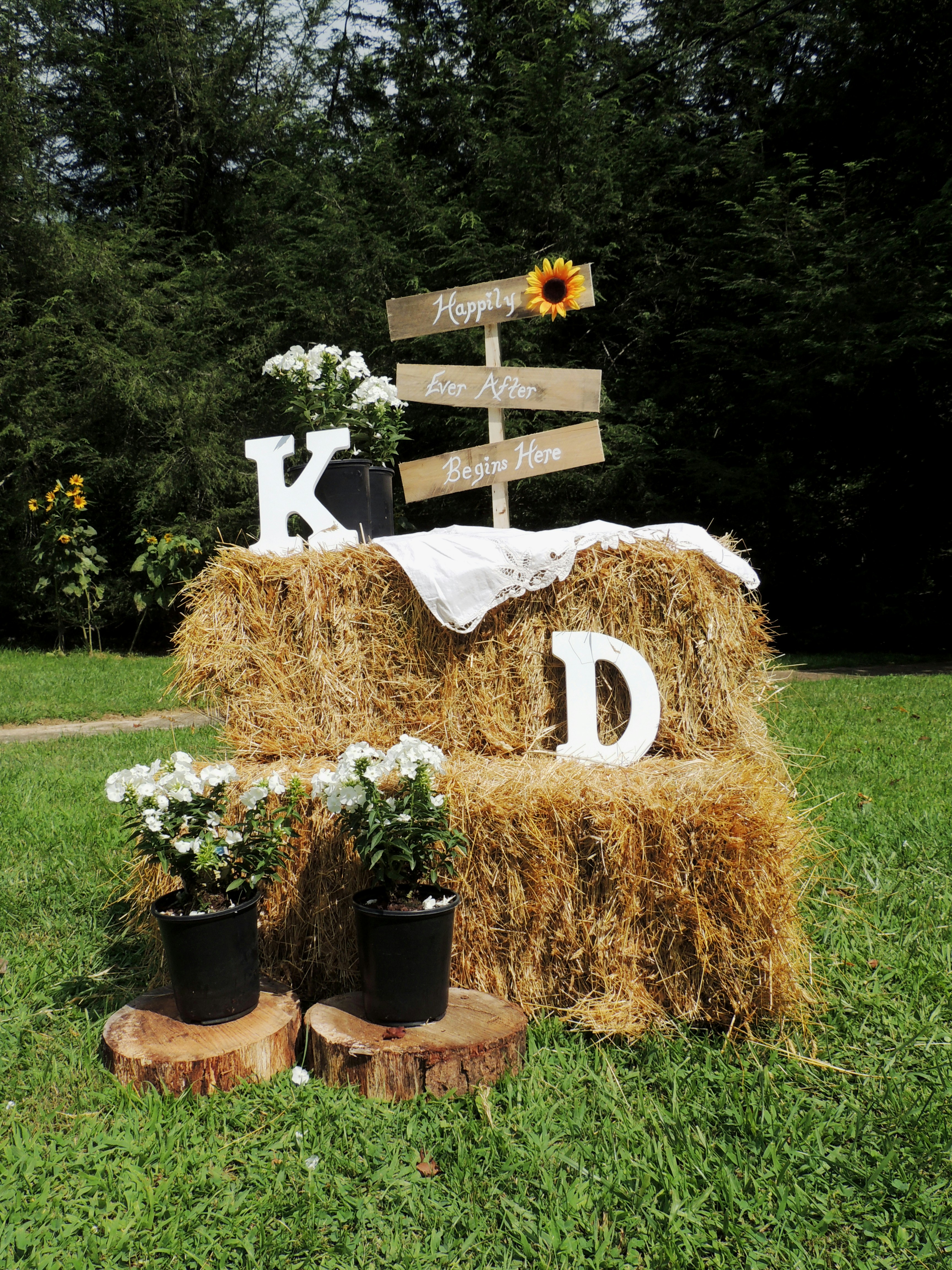 Free Unsplash photo from Cheryl Ann Shipman