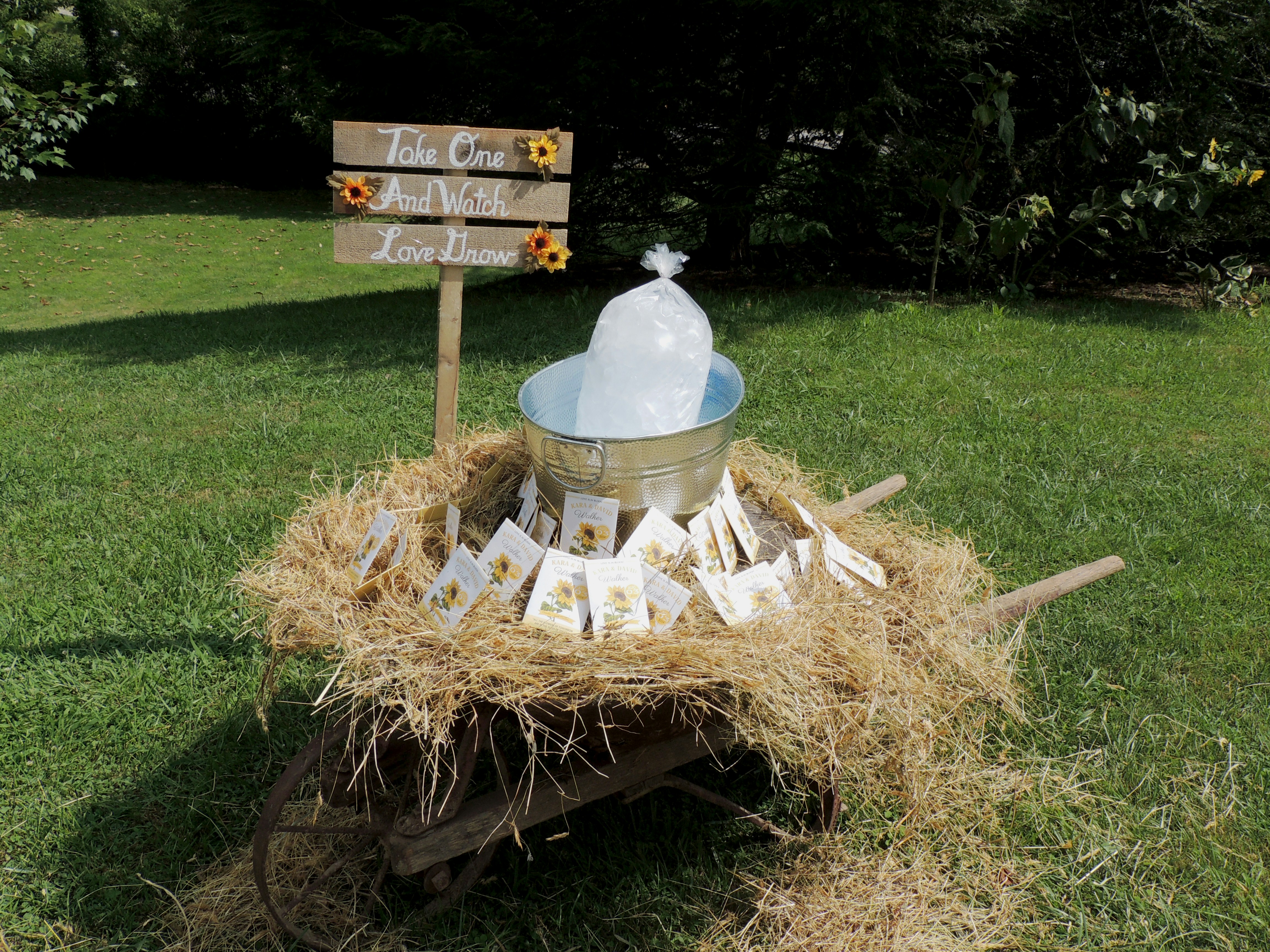 Free Unsplash photo from Cheryl Ann Shipman