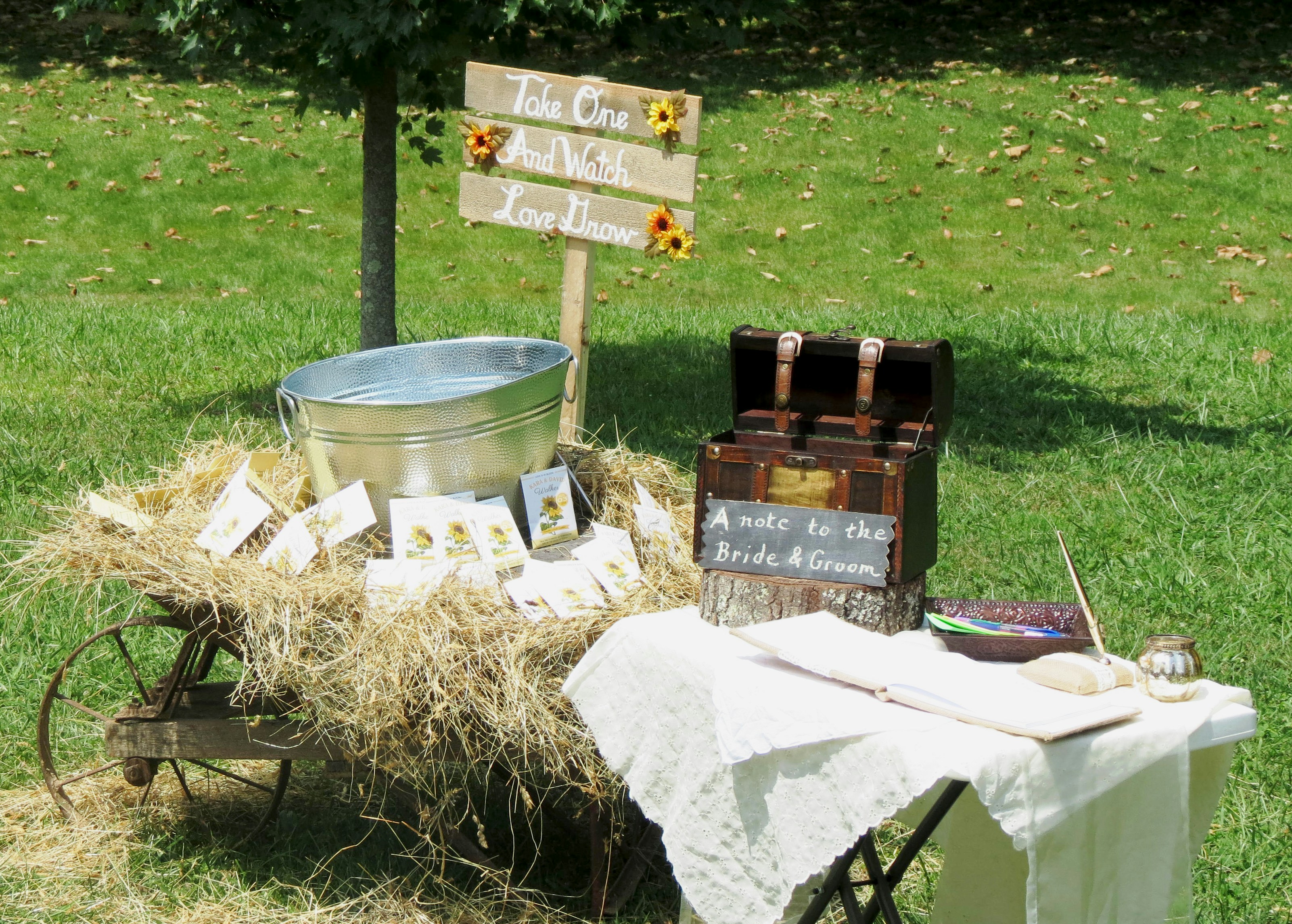 Free Unsplash photo from Cheryl Ann Shipman