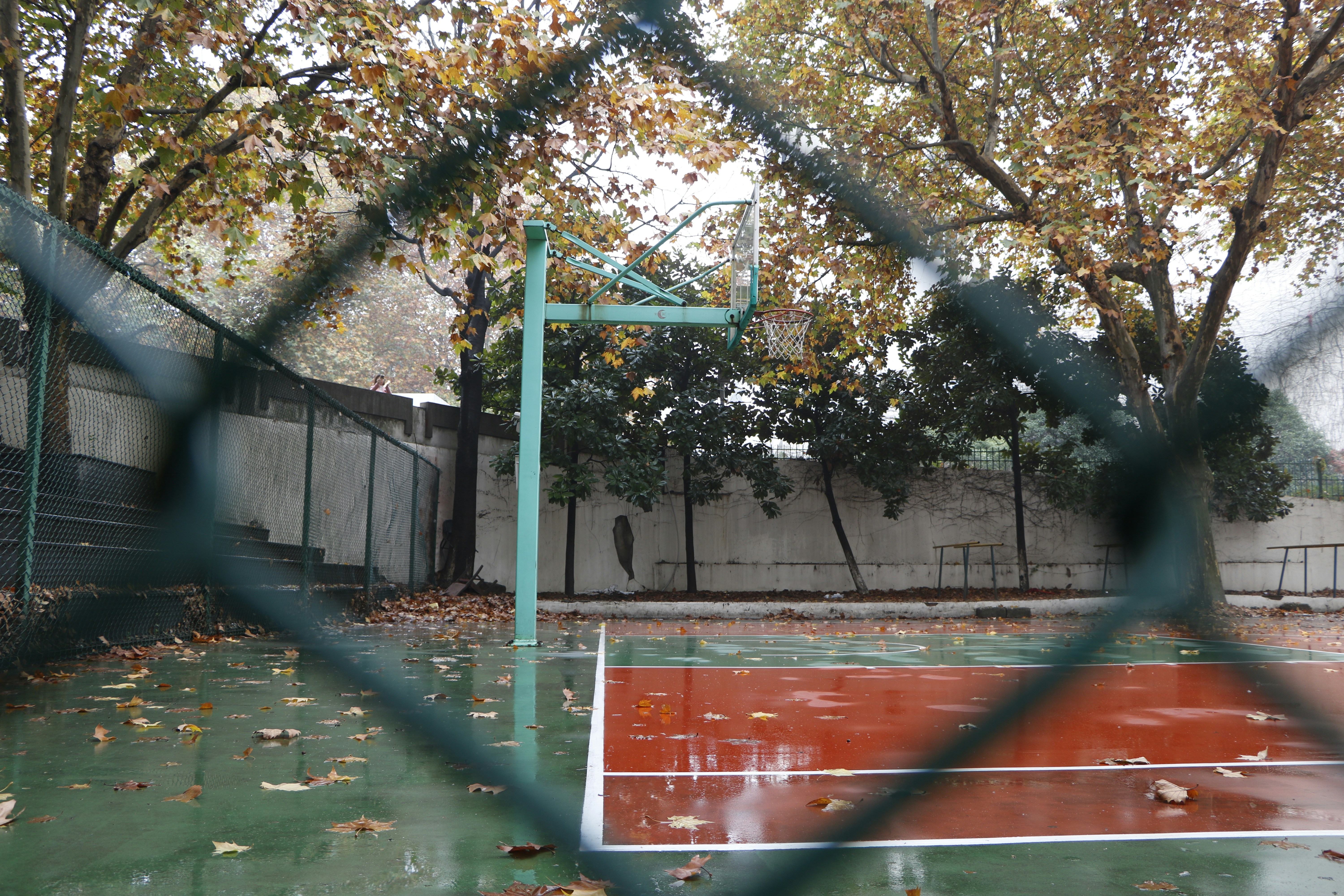 Free Unsplash photo from Lee will