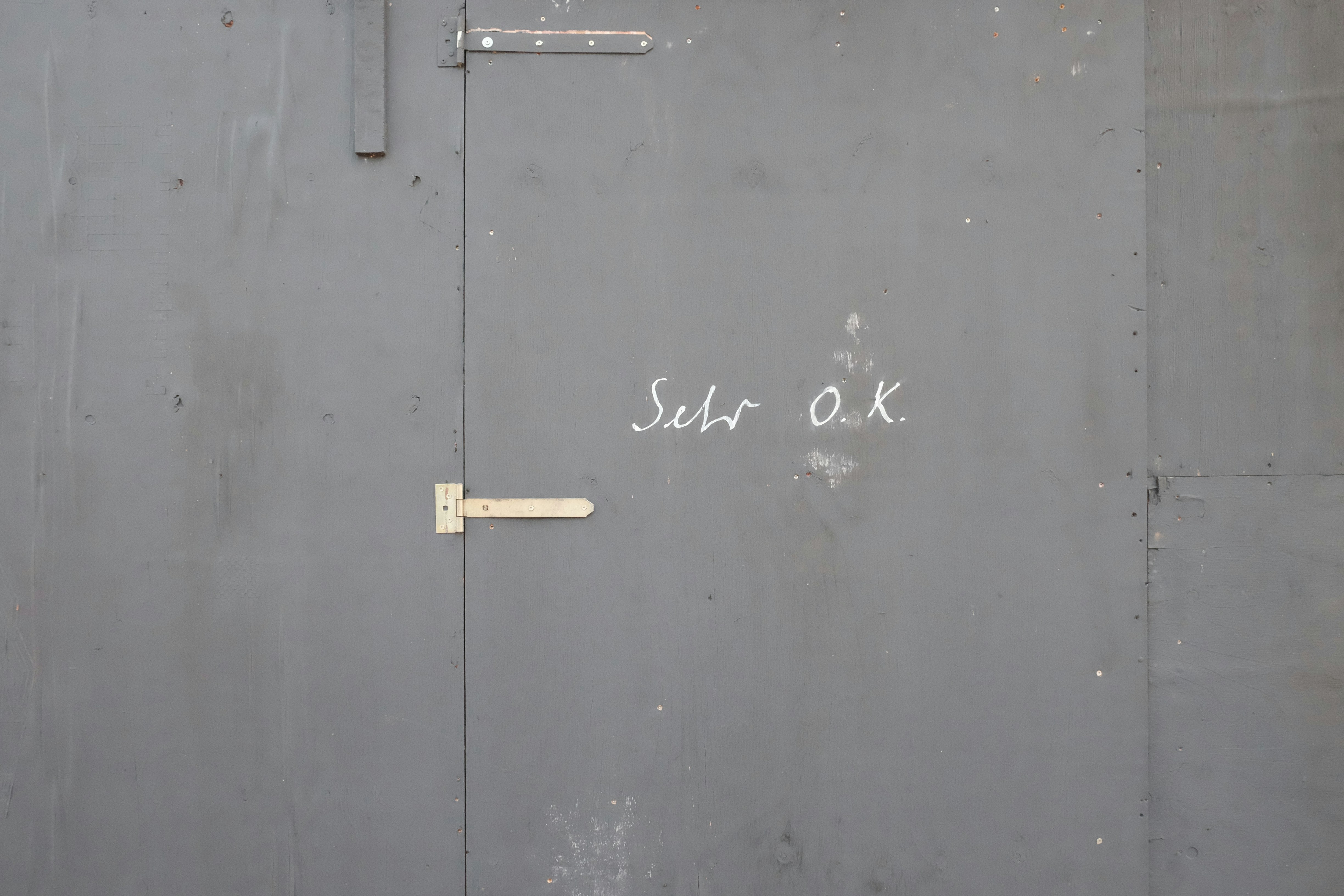 Free Unsplash photo from hardin kirsch