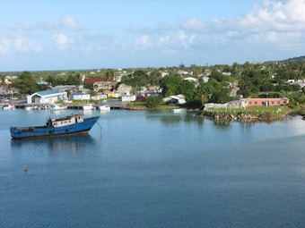 A picturesque coastal village with a moderate-sized boat anchored in calm waters. The shoreline is dotted with colorful houses and buildings, surrounded by lush greenery and palm trees, under a bright blue sky filled with soft clouds.