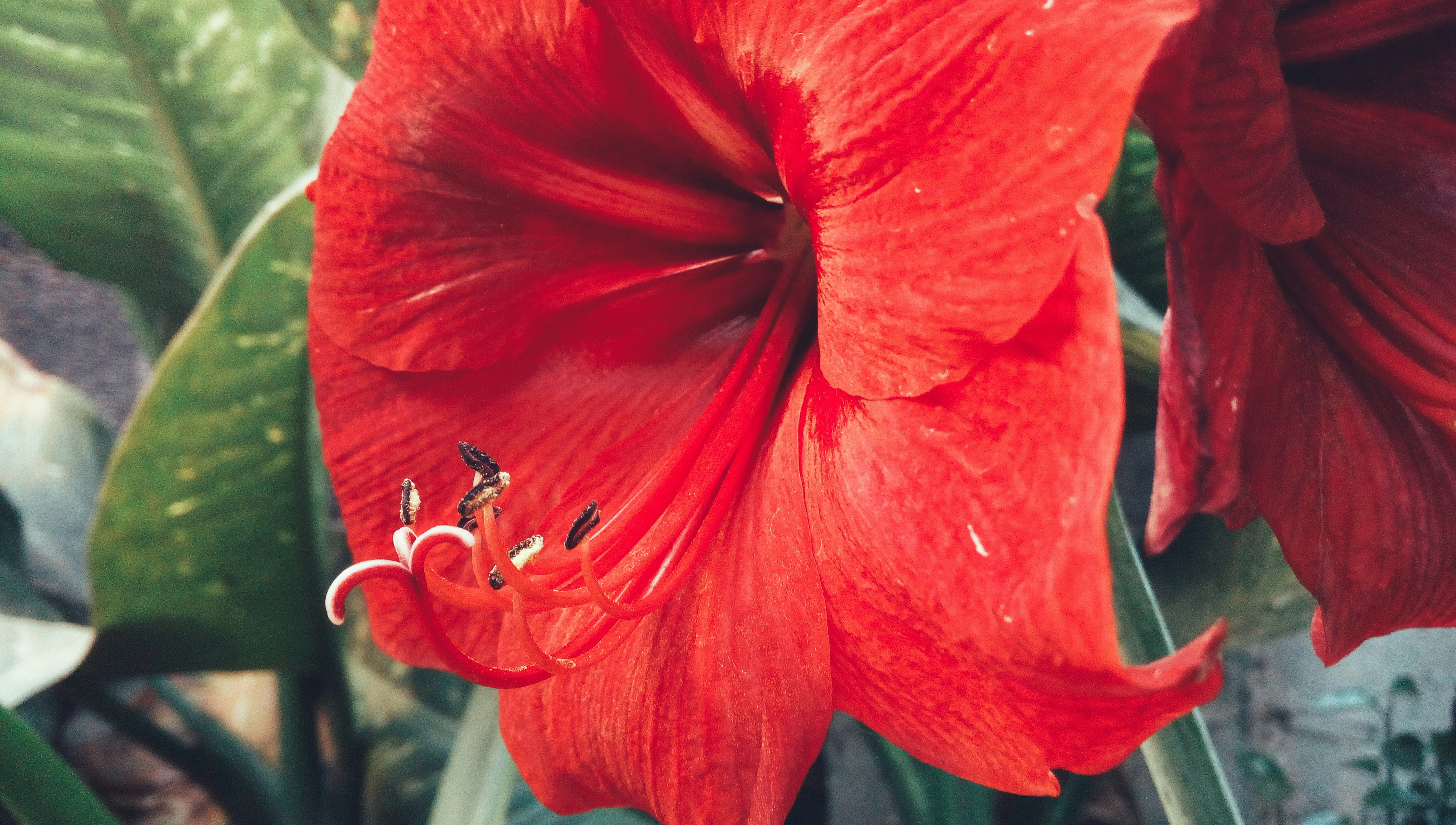 Free Unsplash photo from Israel Barán