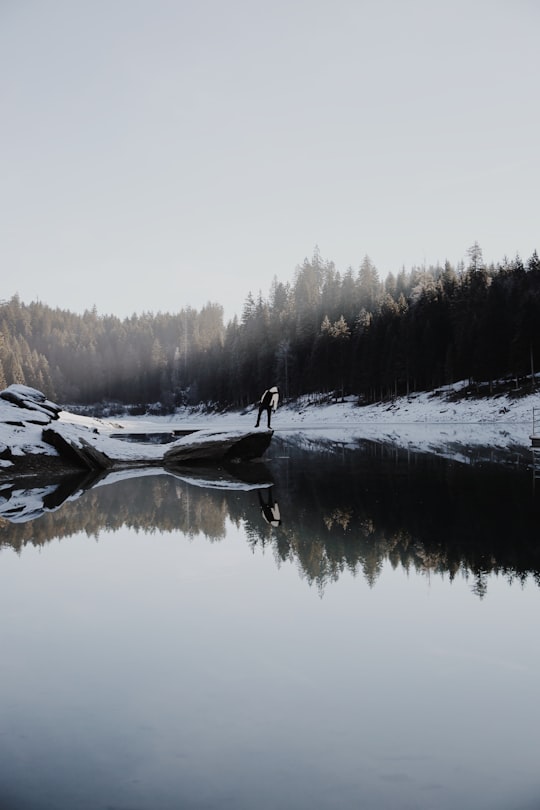 person beside lake near pine trees during daytime in Caumasee Switzerland