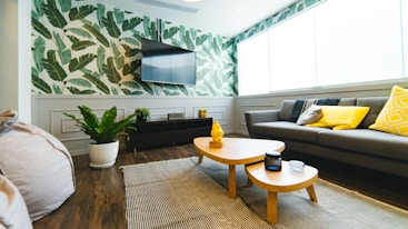 photo of flat screen television