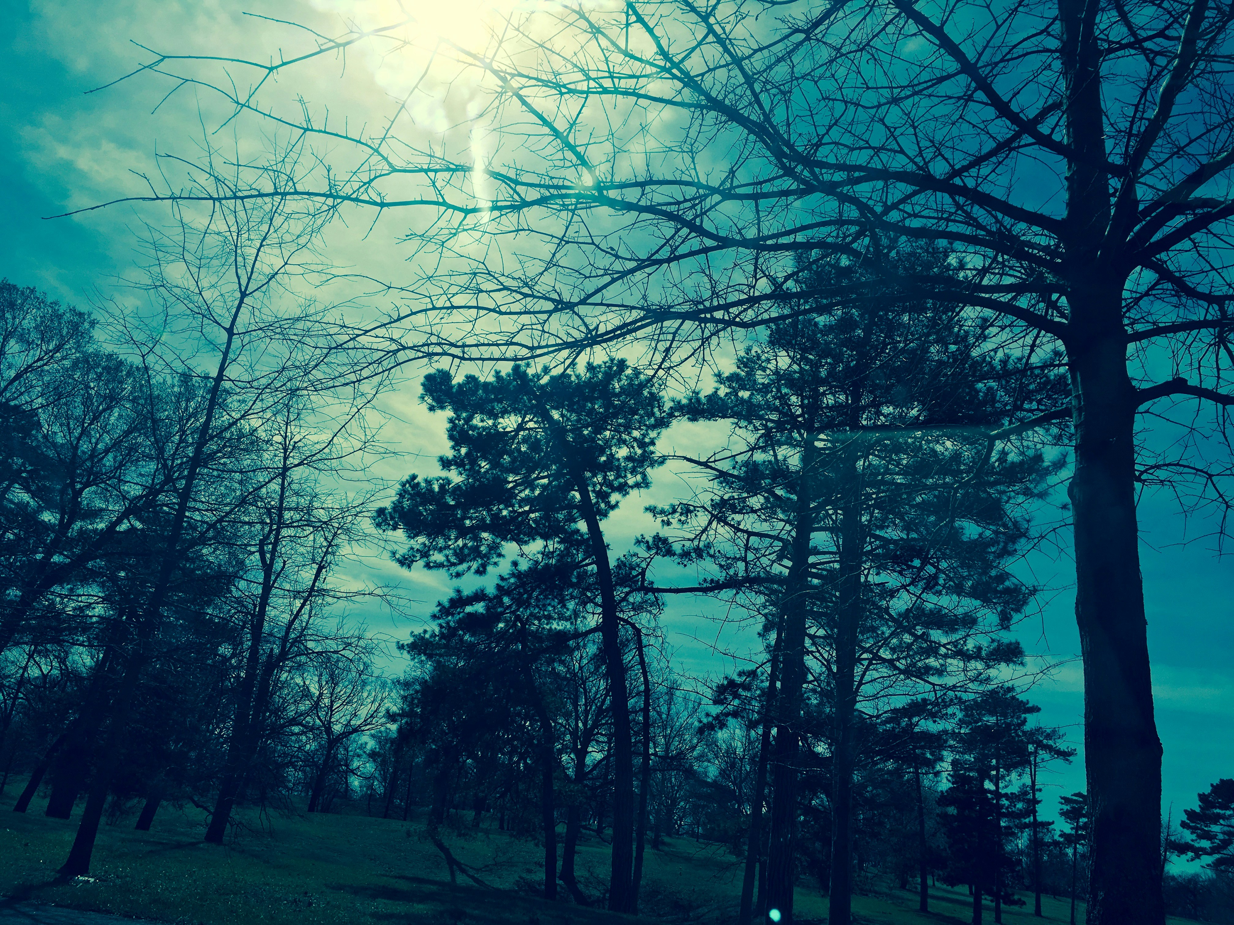 Free Unsplash photo from Rosalind  Wilson