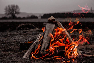 brown bonfire on gray field