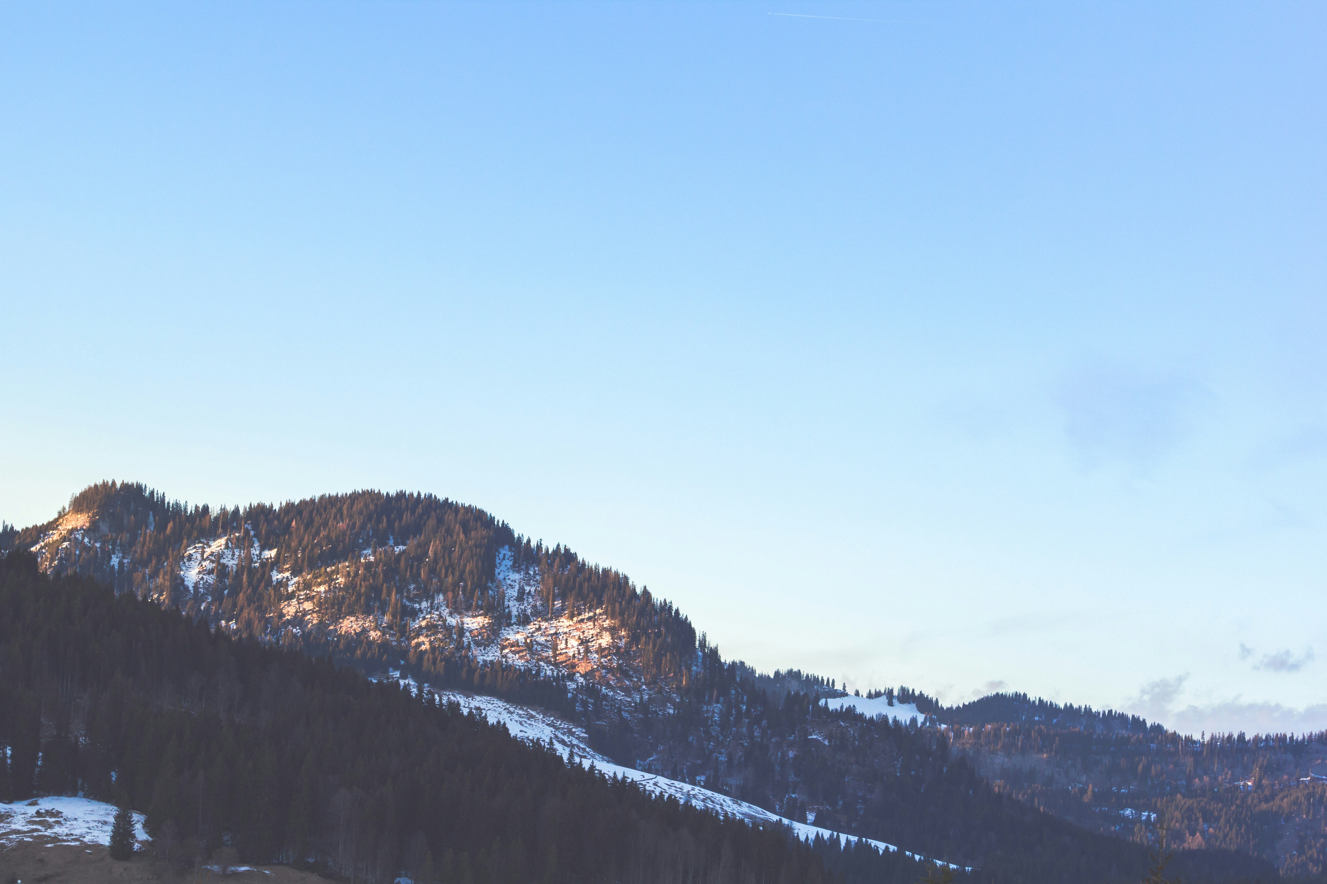 Free Unsplash photo from Jörg Angeli