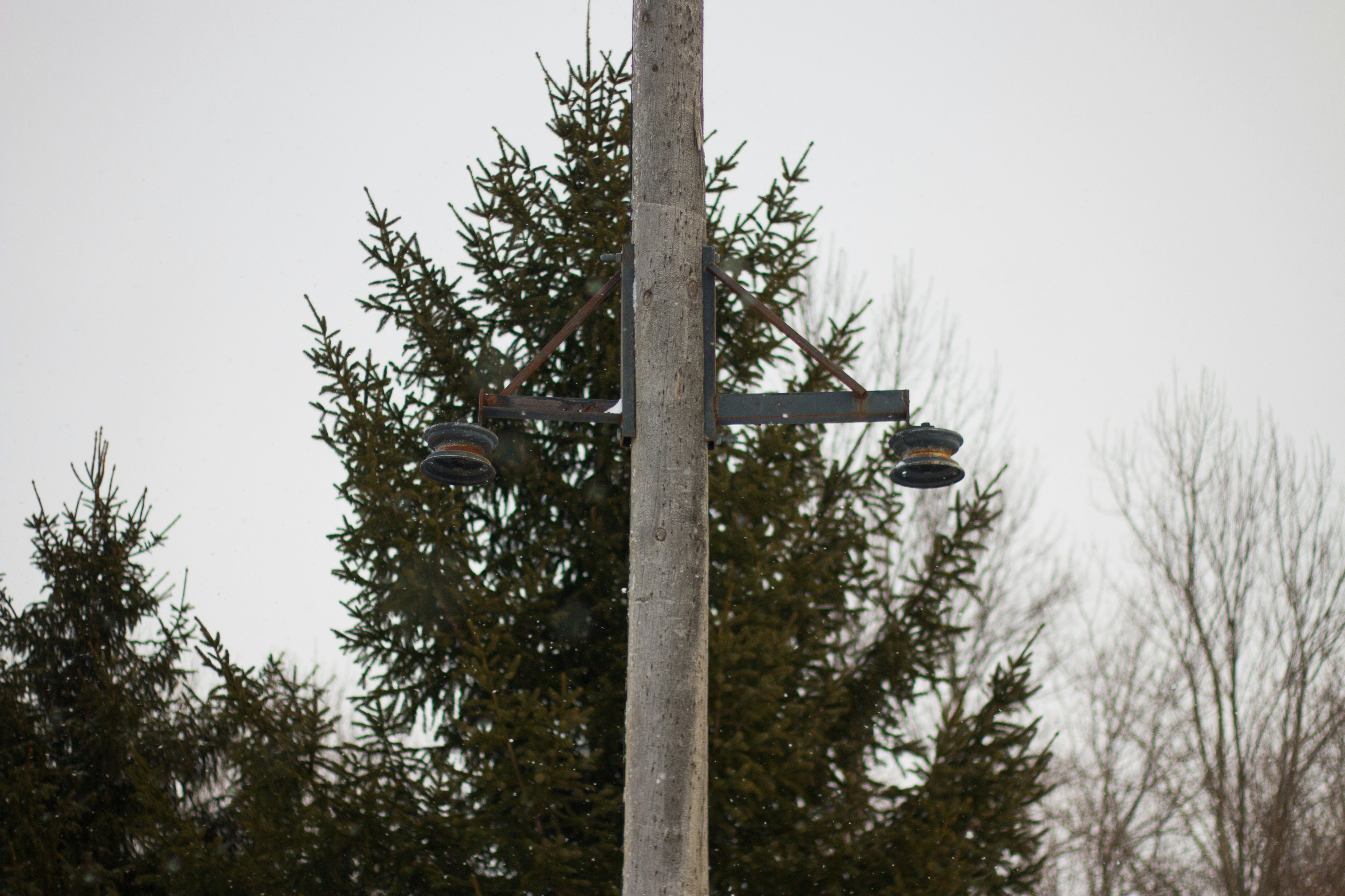 Free Unsplash photo from Dylan McLeod