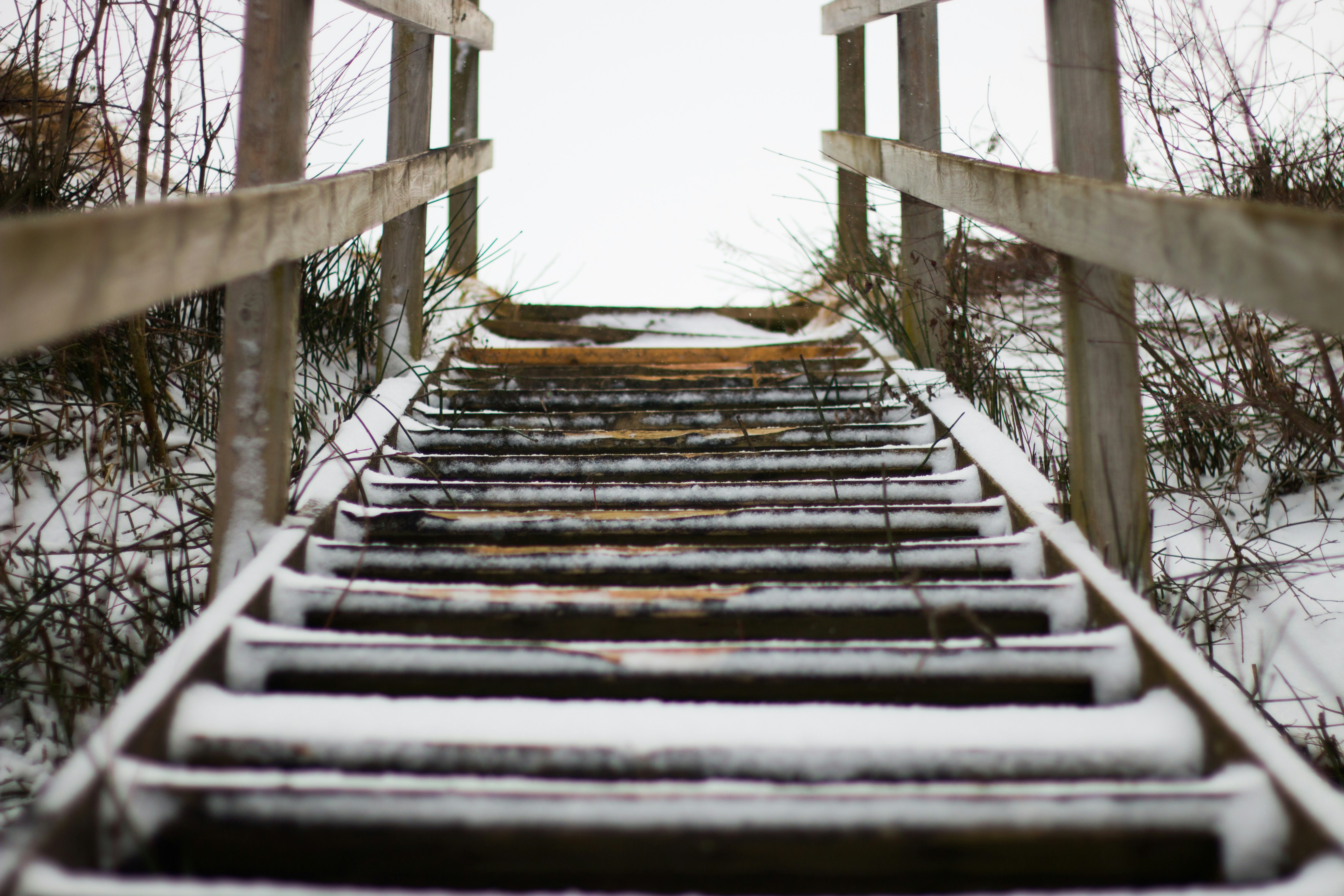 Free Unsplash photo from Dylan McLeod