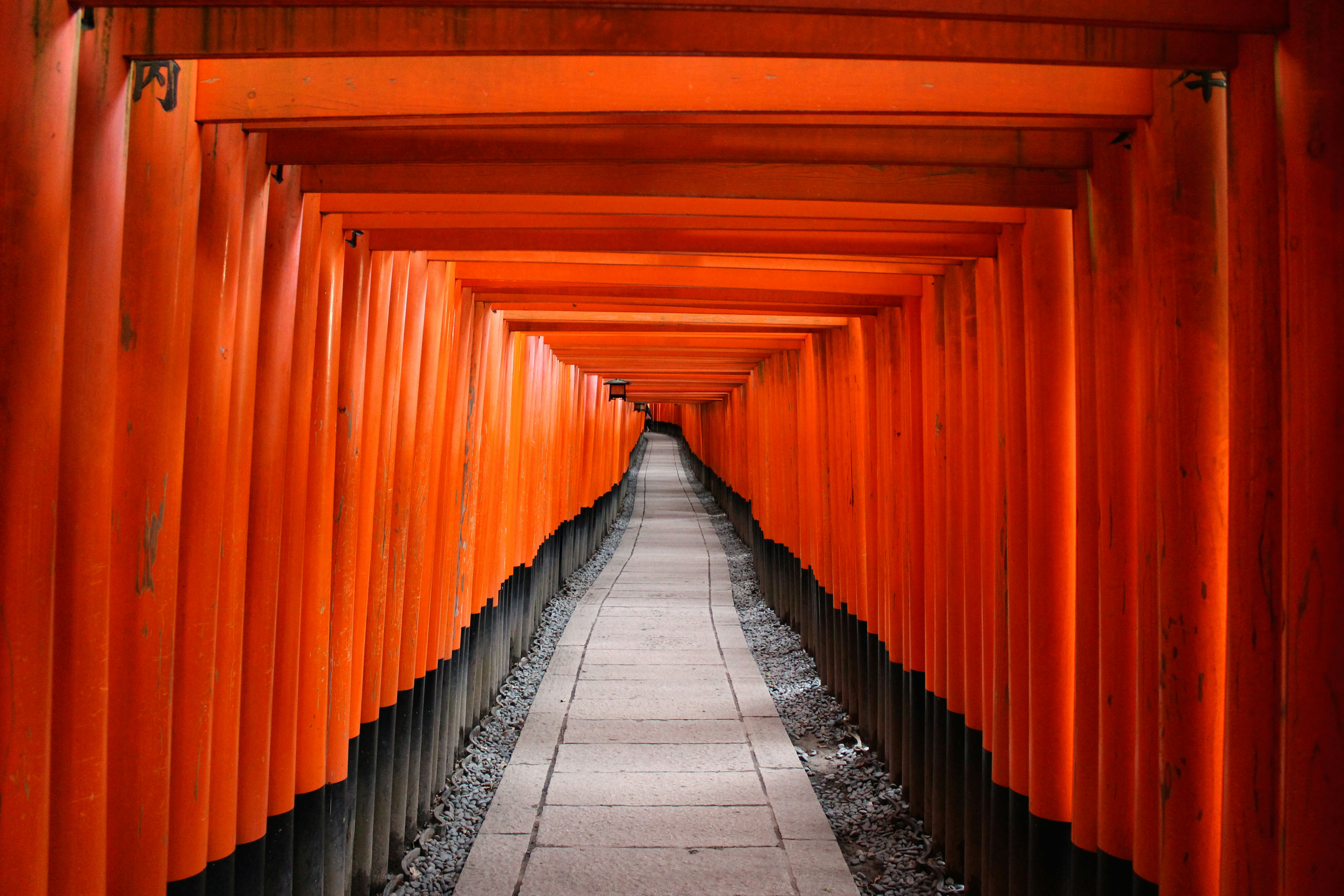 great photo recipe,how to photograph orange hallway leading to kyoto prefecture; architectural photography of red wooden tori gate