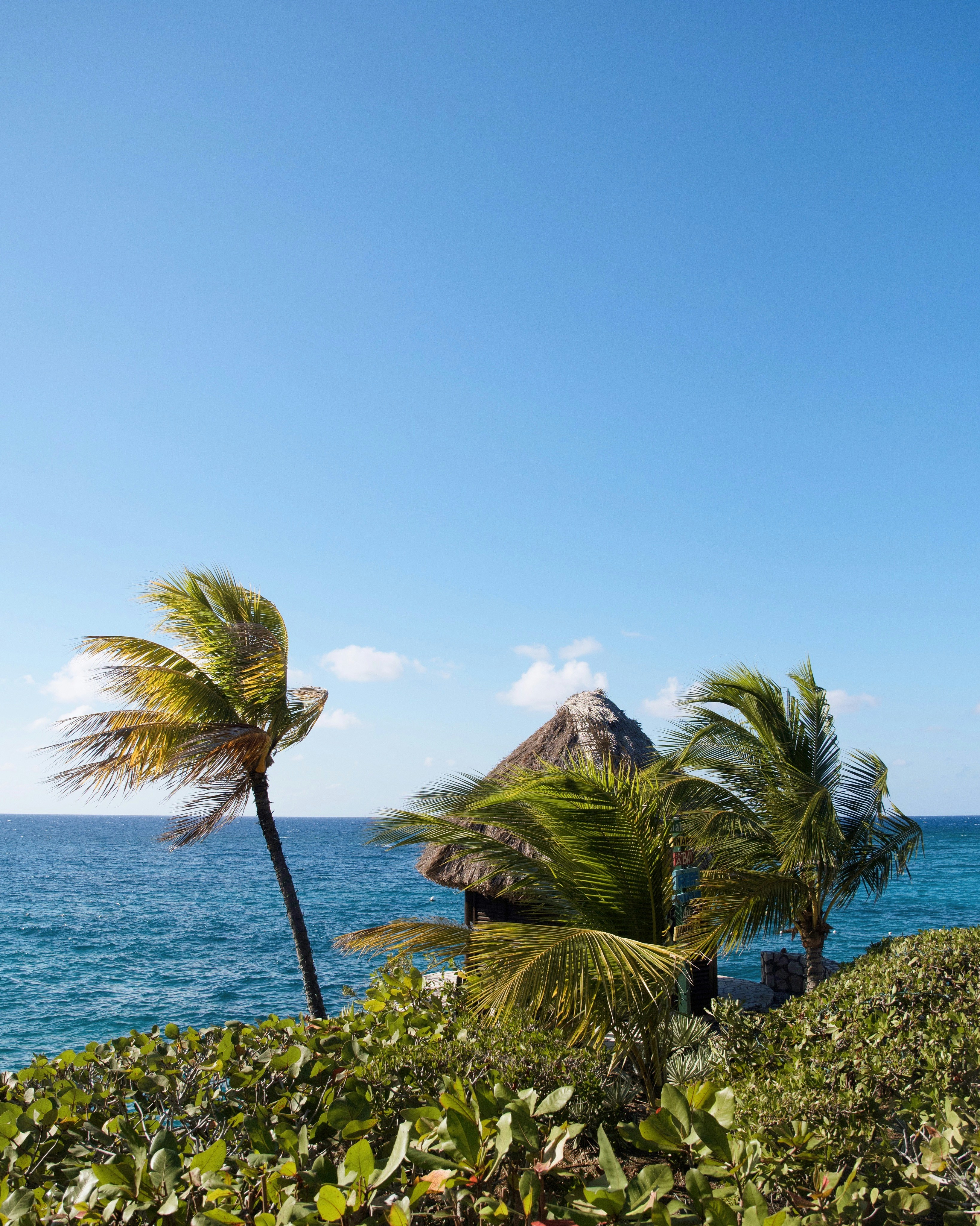 Free Unsplash photo from Leonardo Lacerda