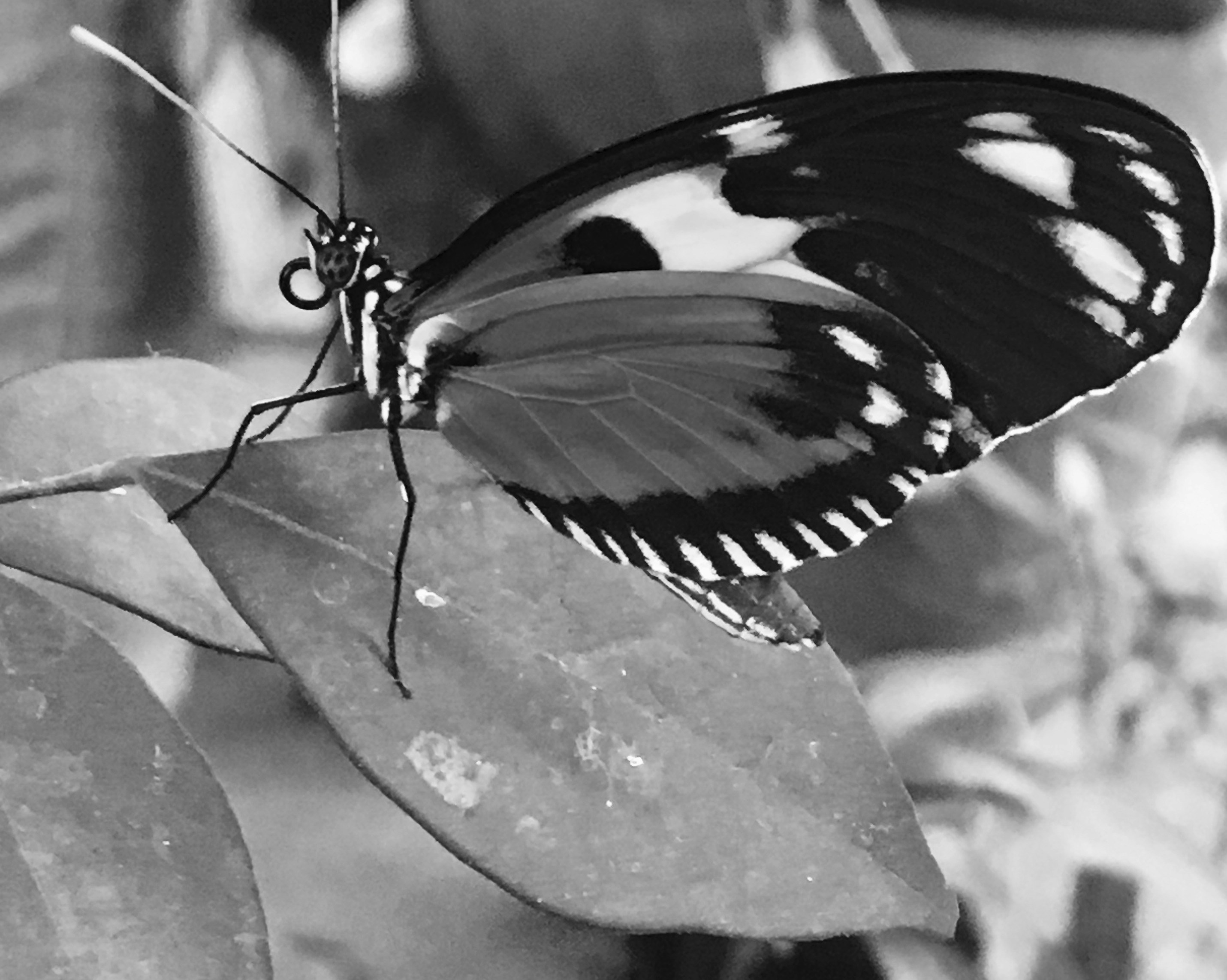 Free Unsplash photo from Rosalind  Wilson