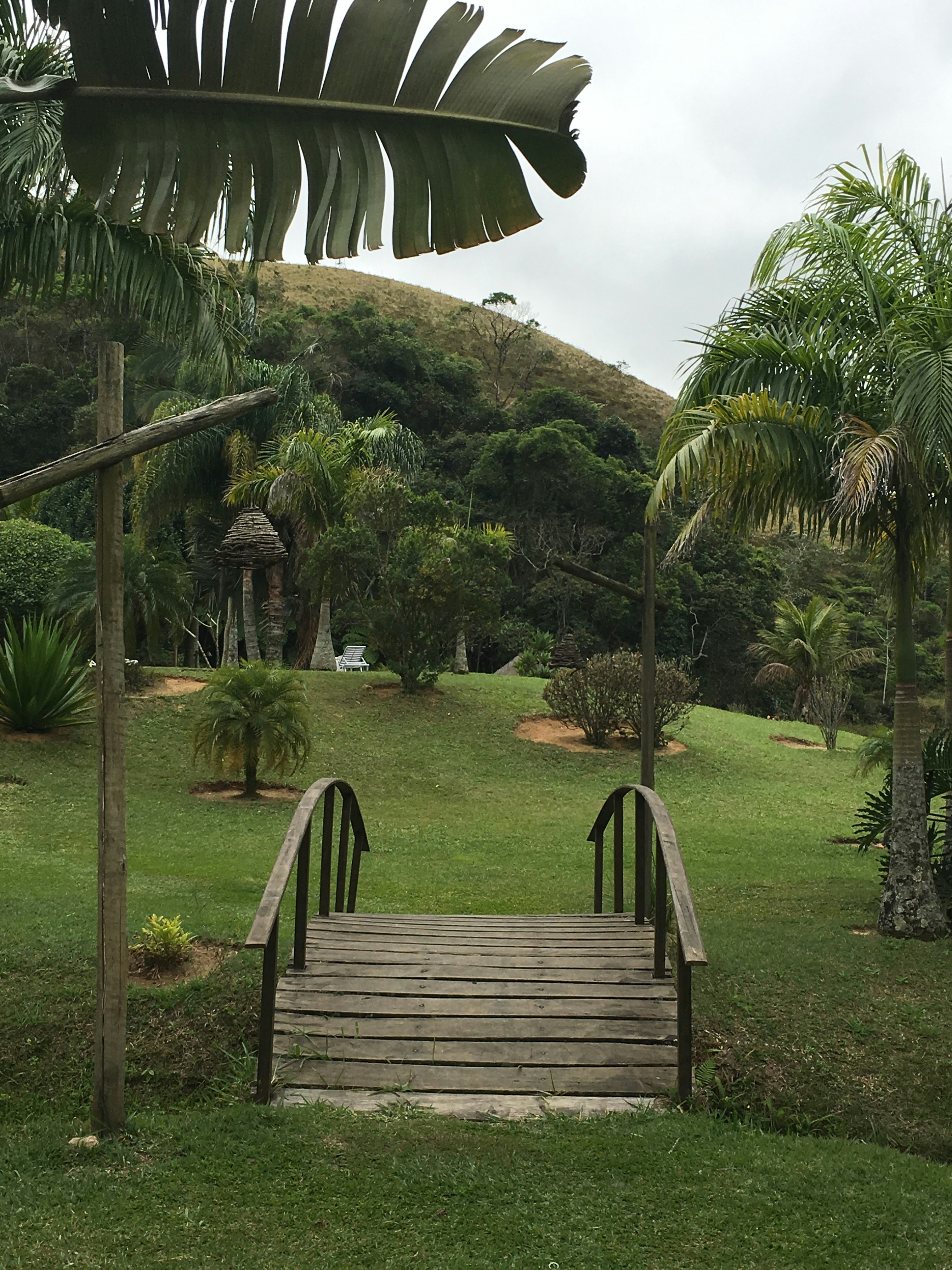 Free Unsplash photo from Leonardo Lacerda