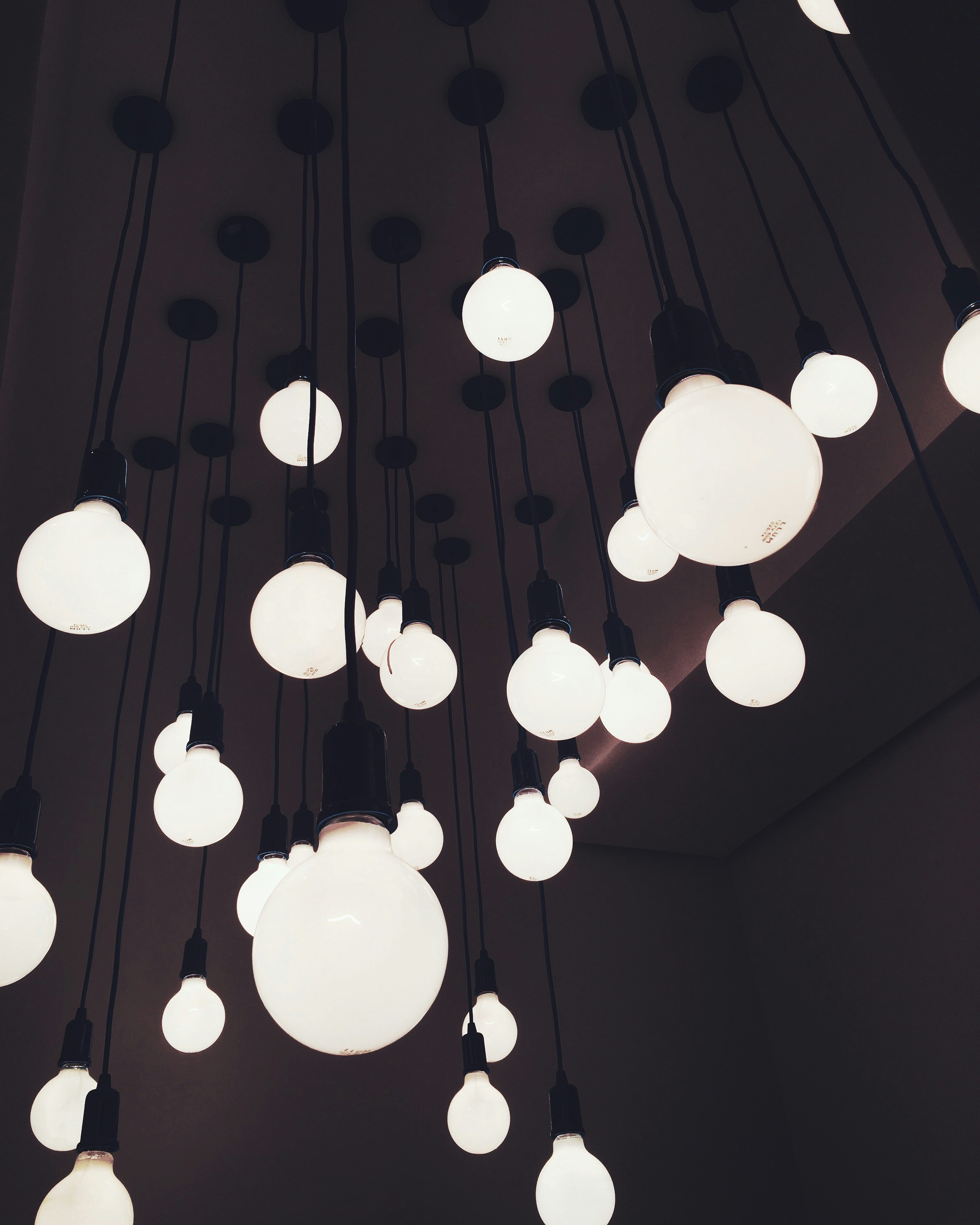 Free Unsplash photo from Leonardo Lacerda