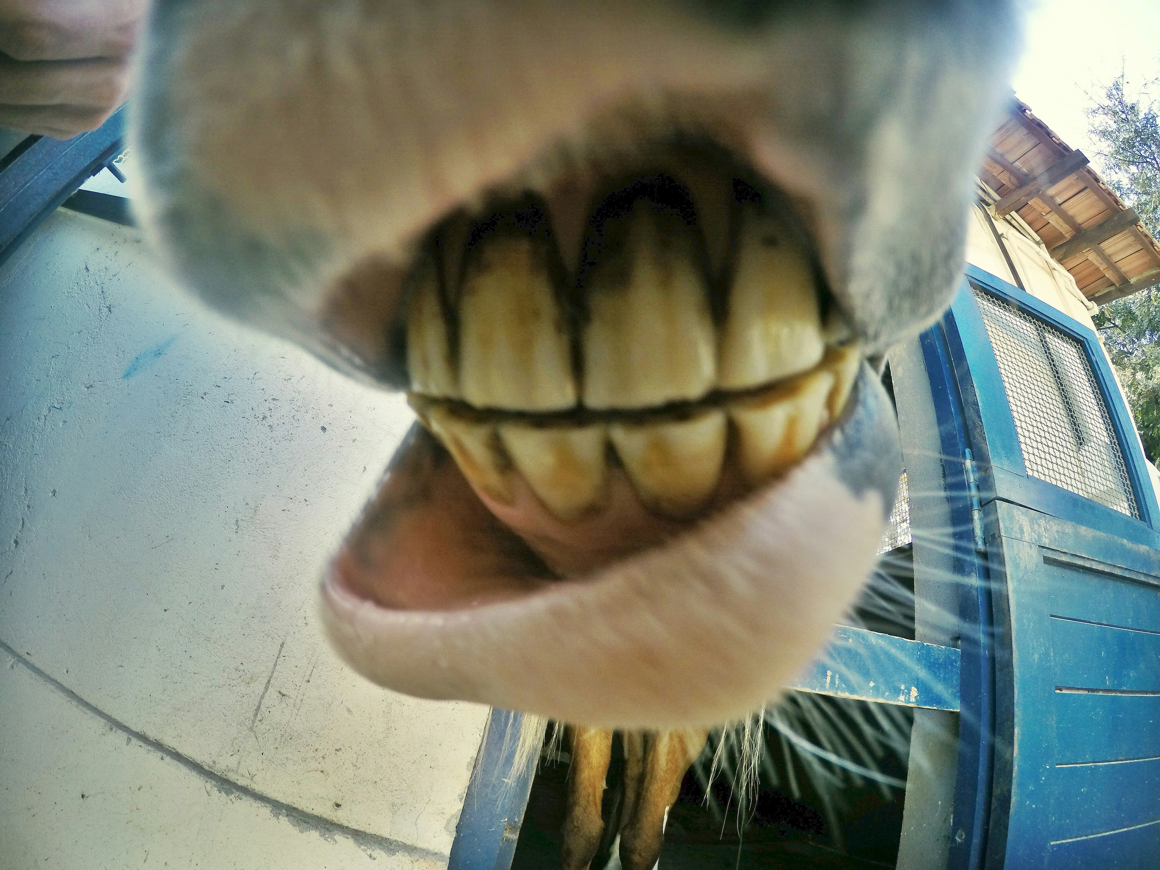 Free Unsplash photo from Leonardo Lacerda