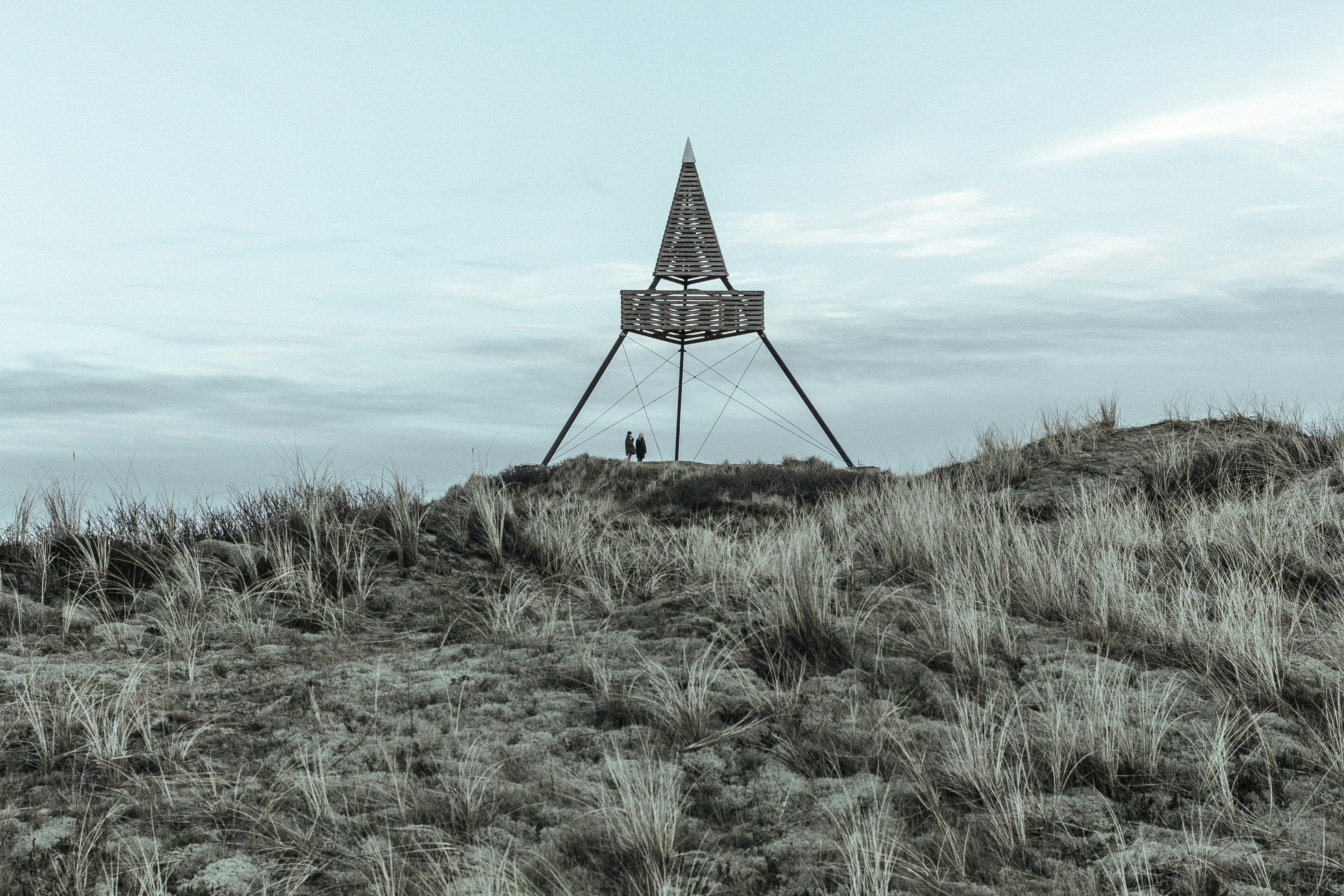 Free Unsplash photo from Sandro Katalina