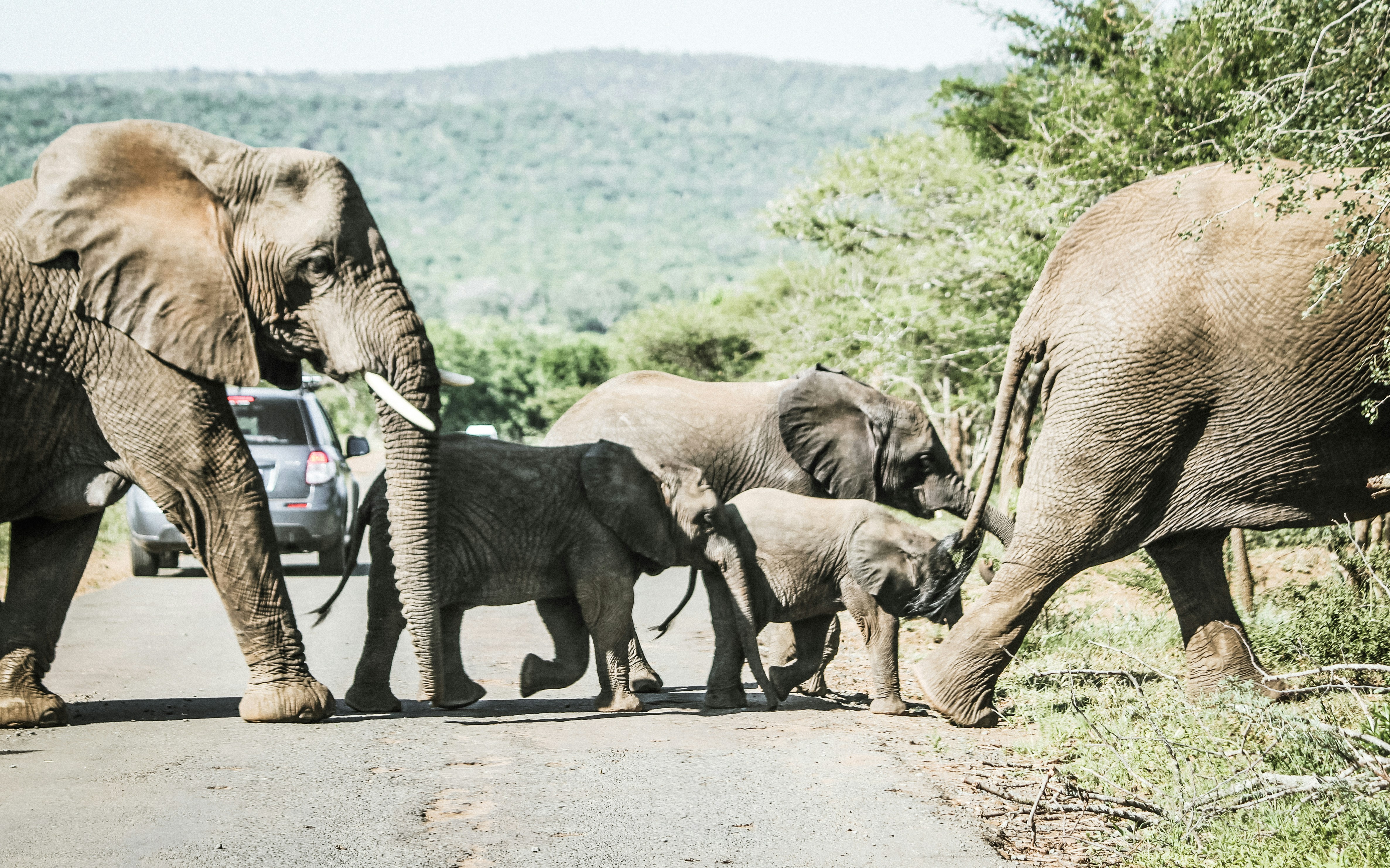 Free Unsplash photo from robbertdb