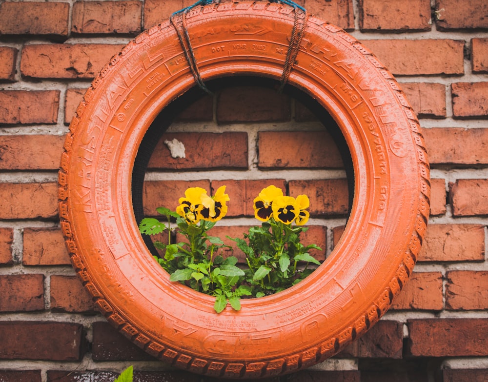 yellow poppy flower on vehicle tire