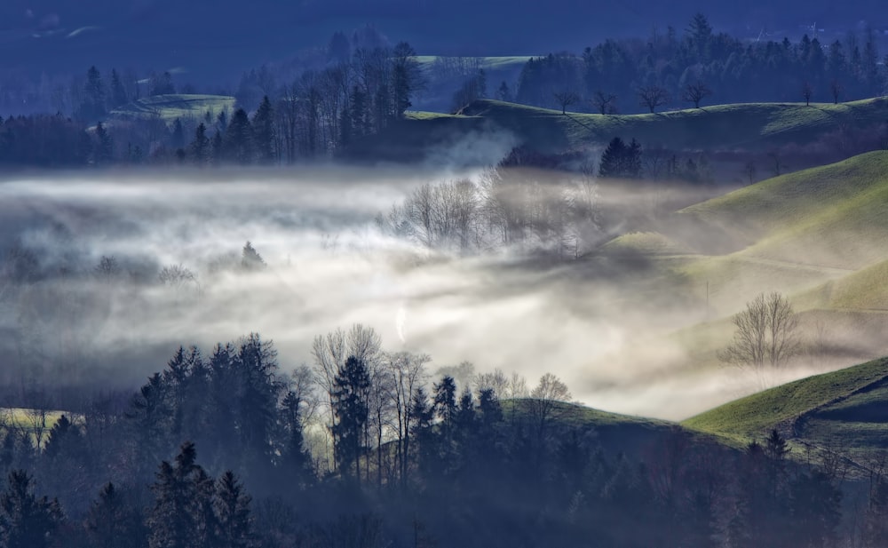 Landschaftsfoto eines mit Nebel bedeckten Berges