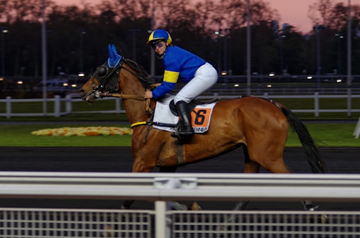 A jockey dressed in blue and yellow riding attire is mounted on a brown racehorse. The horse wears a blue cap and is marked with the number 16. They are on a race track bordered by white railings with a backdrop of a dusky sky and blurred trees.