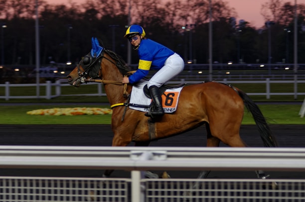 A jockey dressed in blue and yellow riding attire is mounted on a brown racehorse. The horse wears a blue cap and is marked with the number 16. They are on a race track bordered by white railings with a backdrop of a dusky sky and blurred trees.