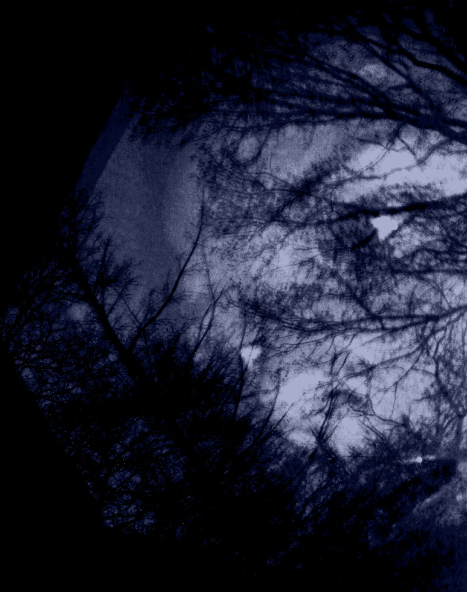 Free Unsplash photo from Rosalind  Wilson