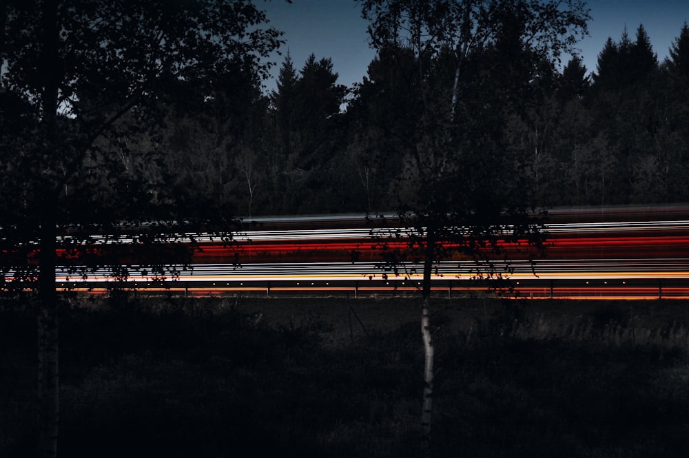 time-lapse photography of vehicle running on road in between trees at nighttime
