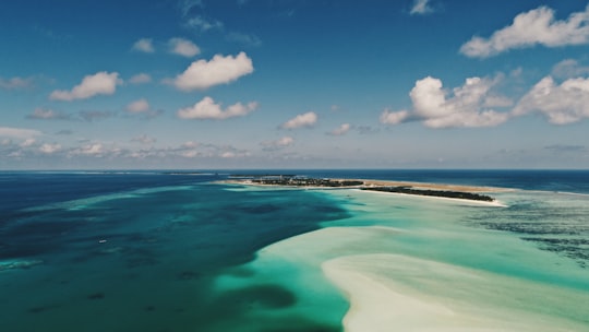Sun Island Resort things to do in Alifu Dhaalu Atoll