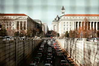 cars beside buildings