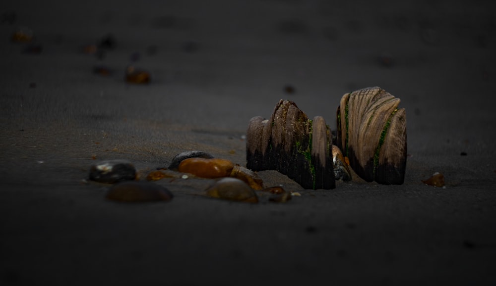 Cailloux dans les dunes de sable