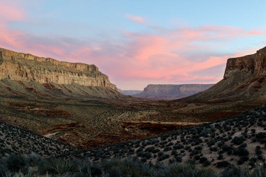 green grasses between two mountains in Havasupai United States