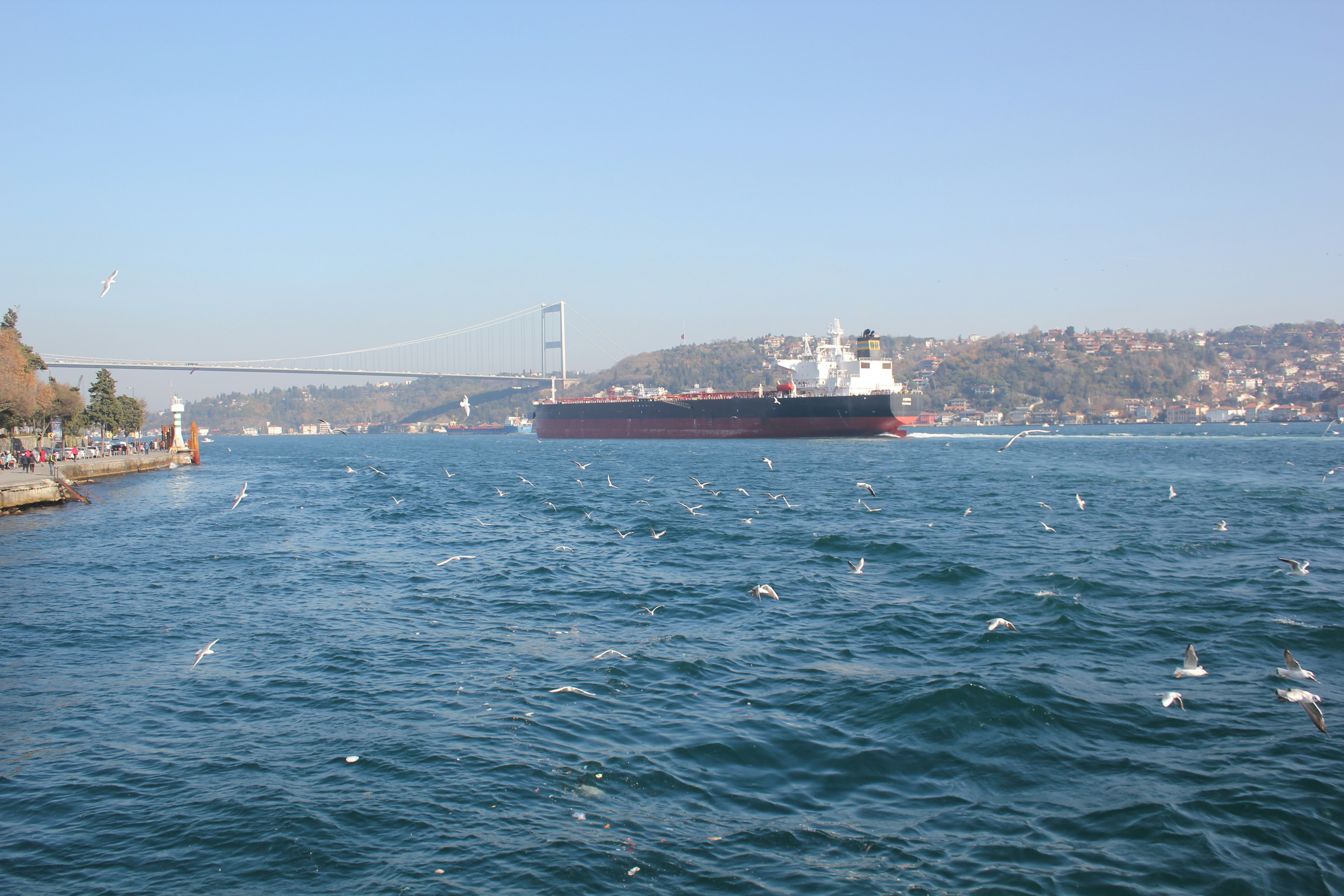 Free Unsplash photo from Mihir Abnave