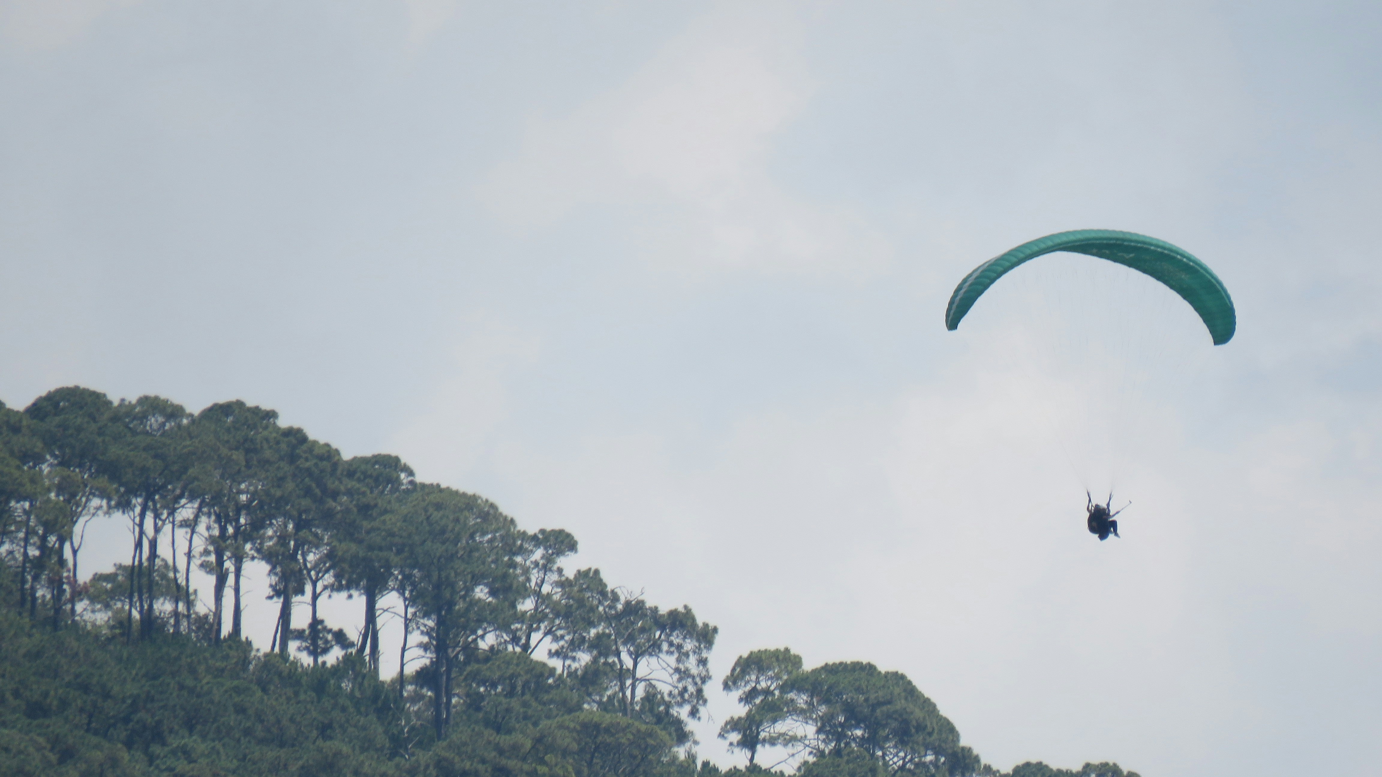 Free Unsplash photo from Nivra Aral