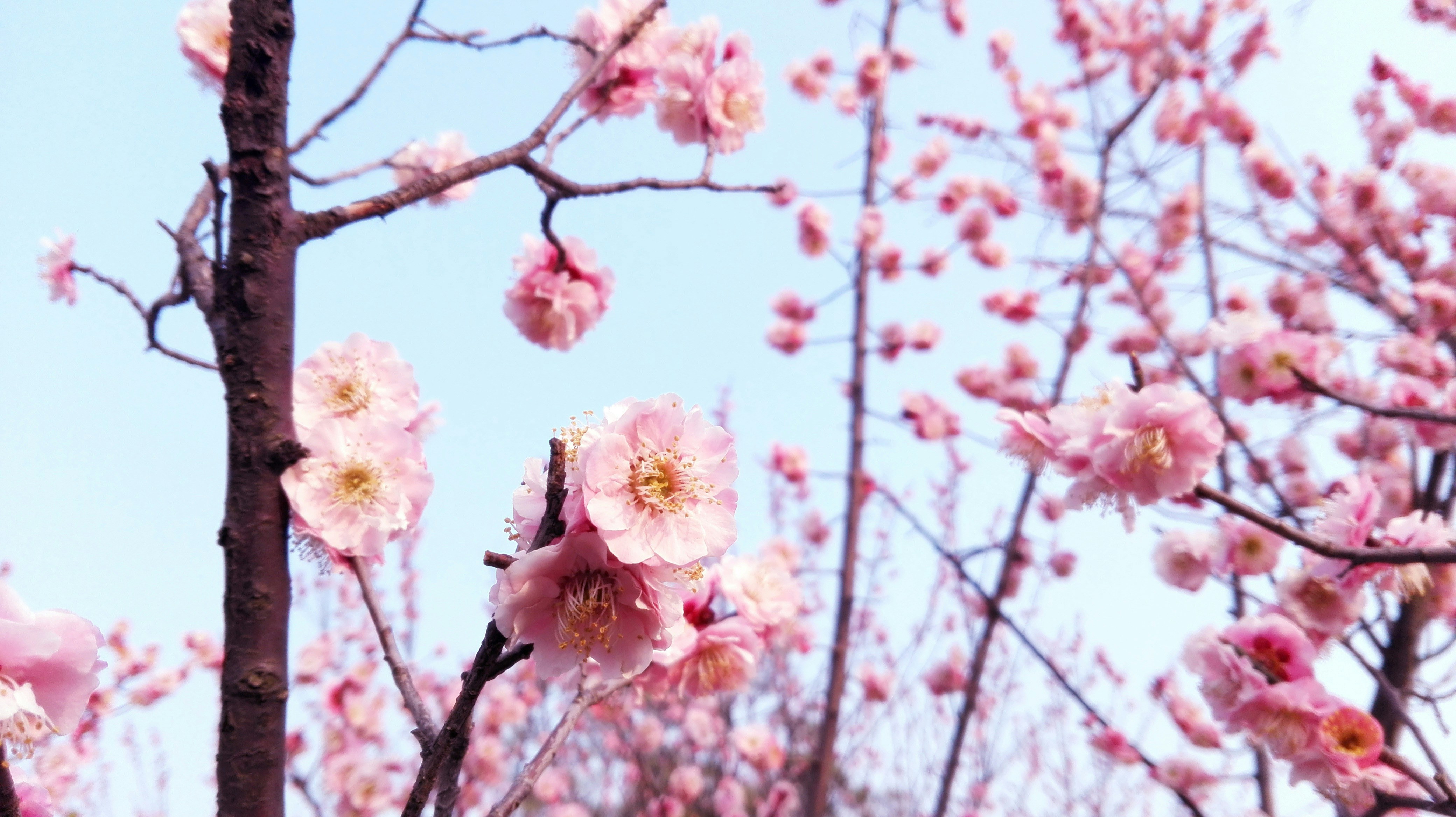 Free Unsplash photo from wobisheng inventor