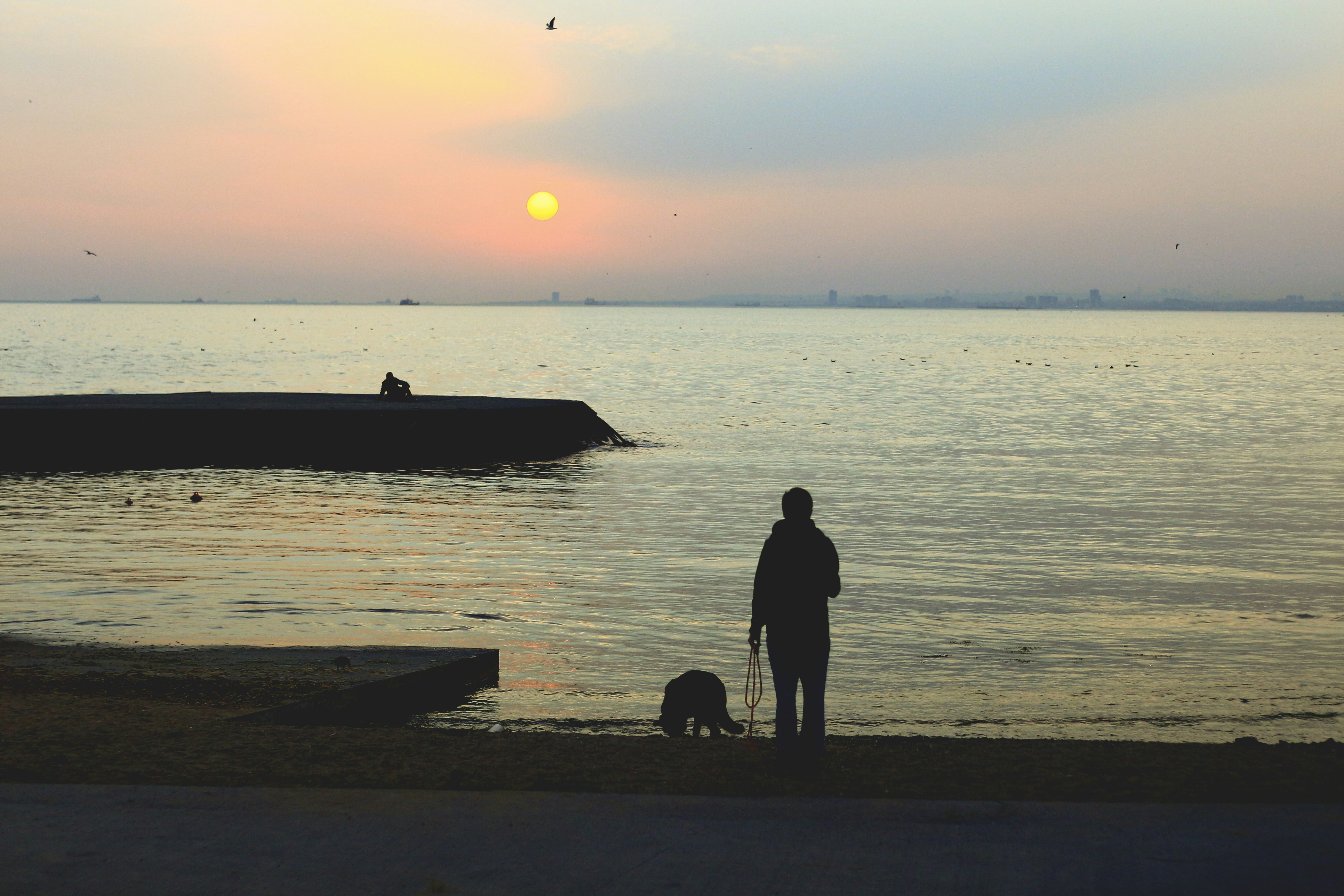 Free Unsplash photo from Muhammed Soydaş