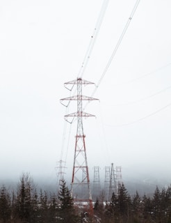 red electric tower surrounded by trees