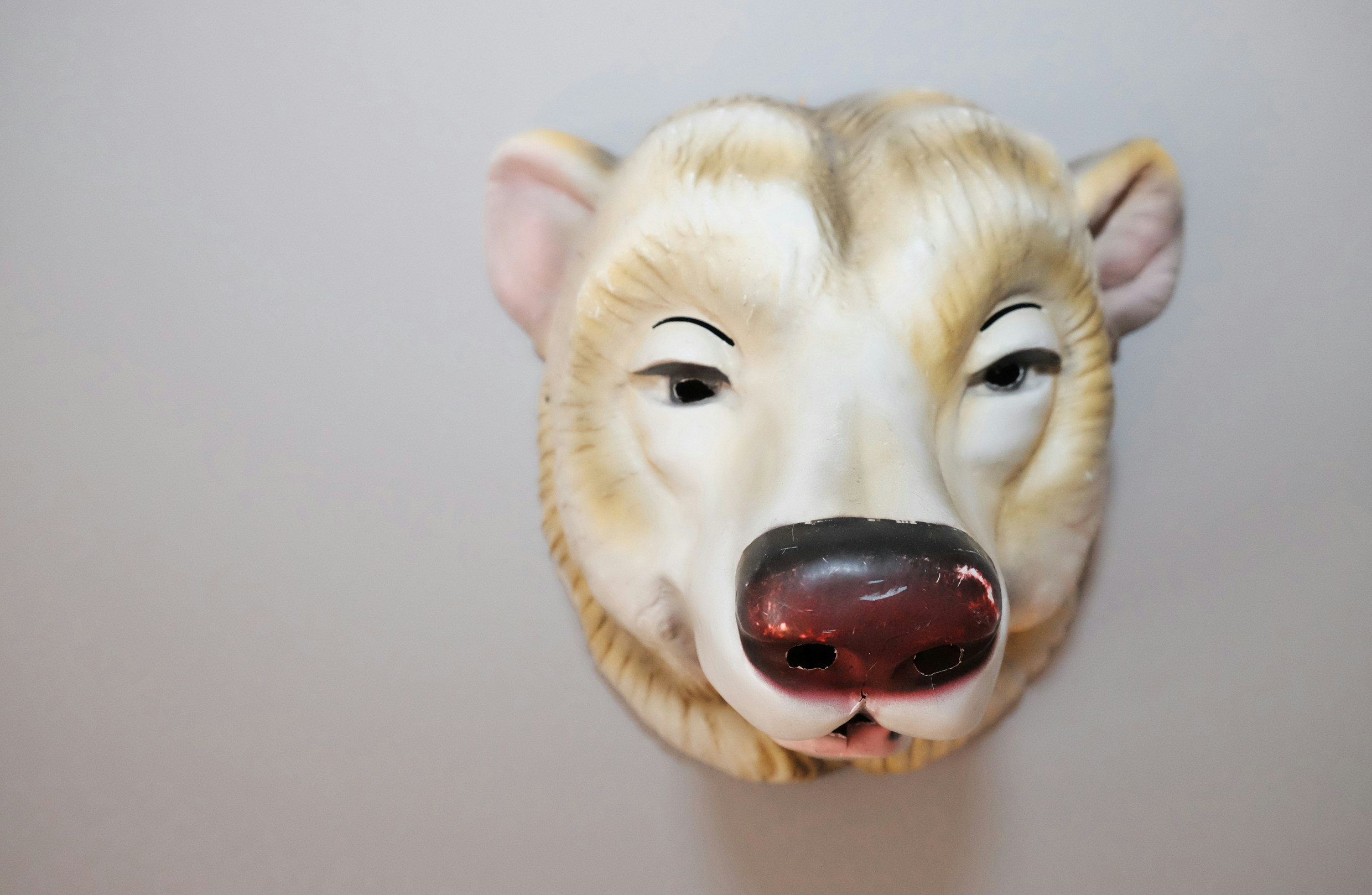 Free Unsplash photo from hardin kirsch