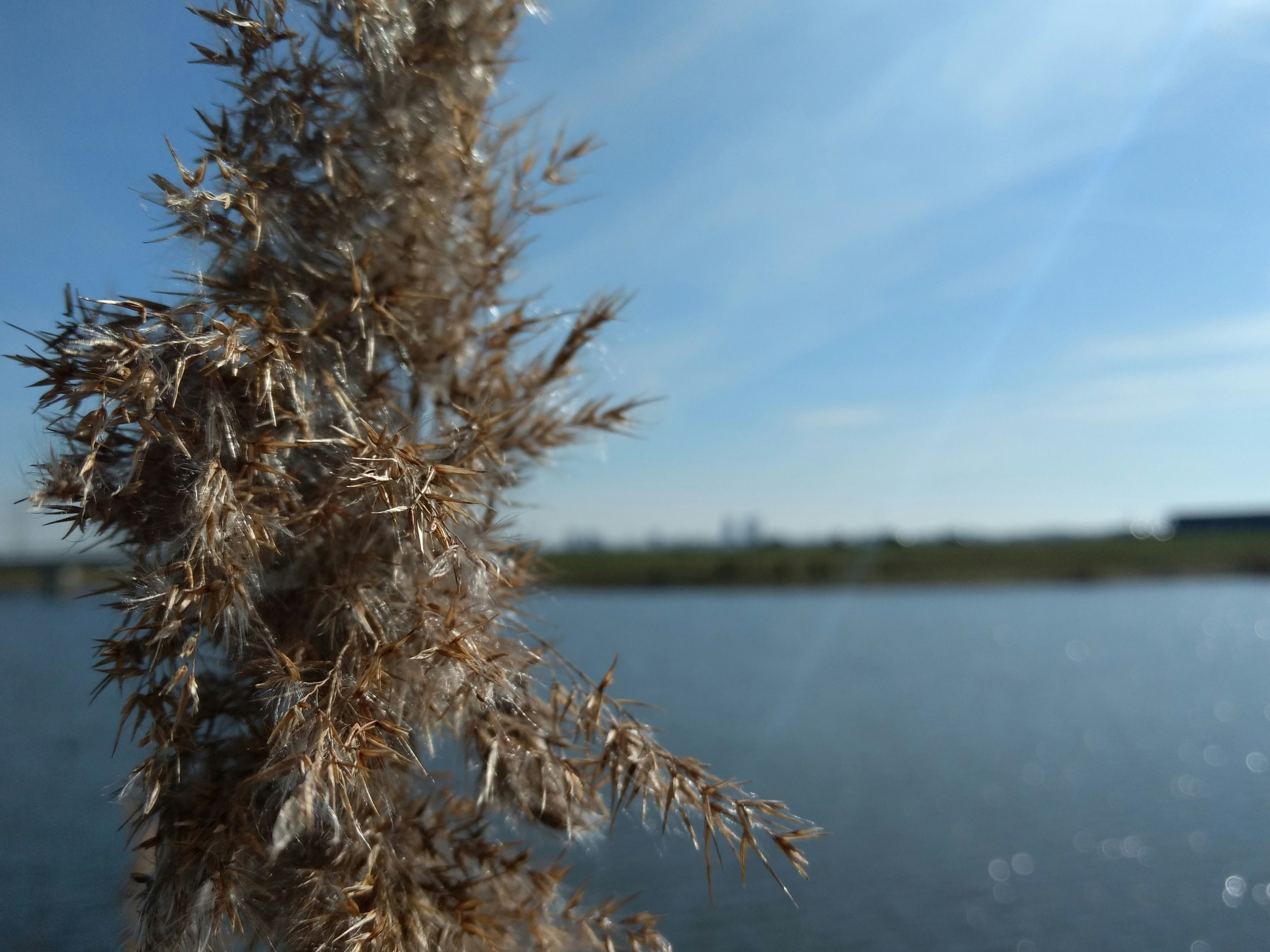 Free Unsplash photo from Rik Koedoot