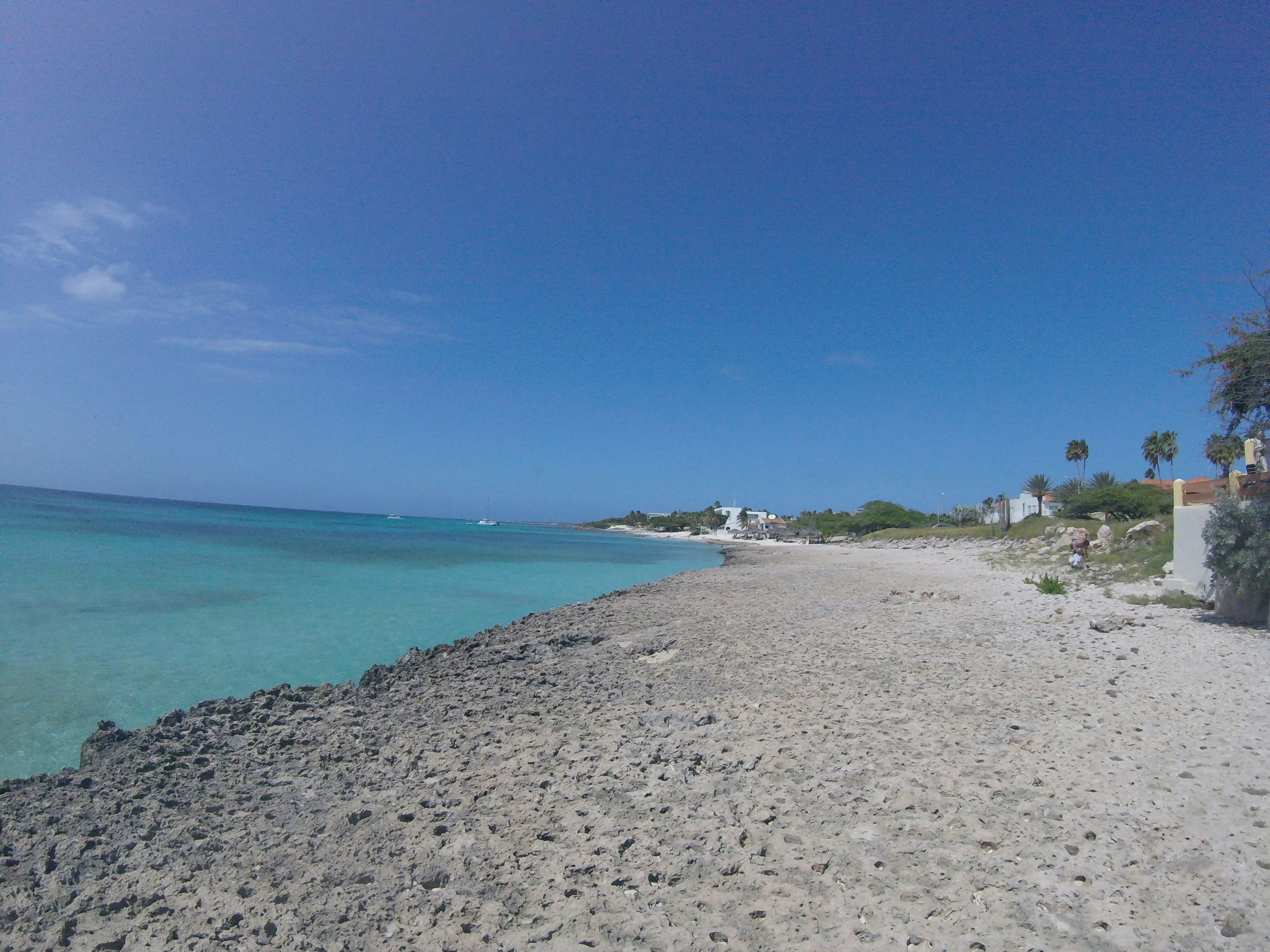 Free Unsplash photo from Erica Thomas