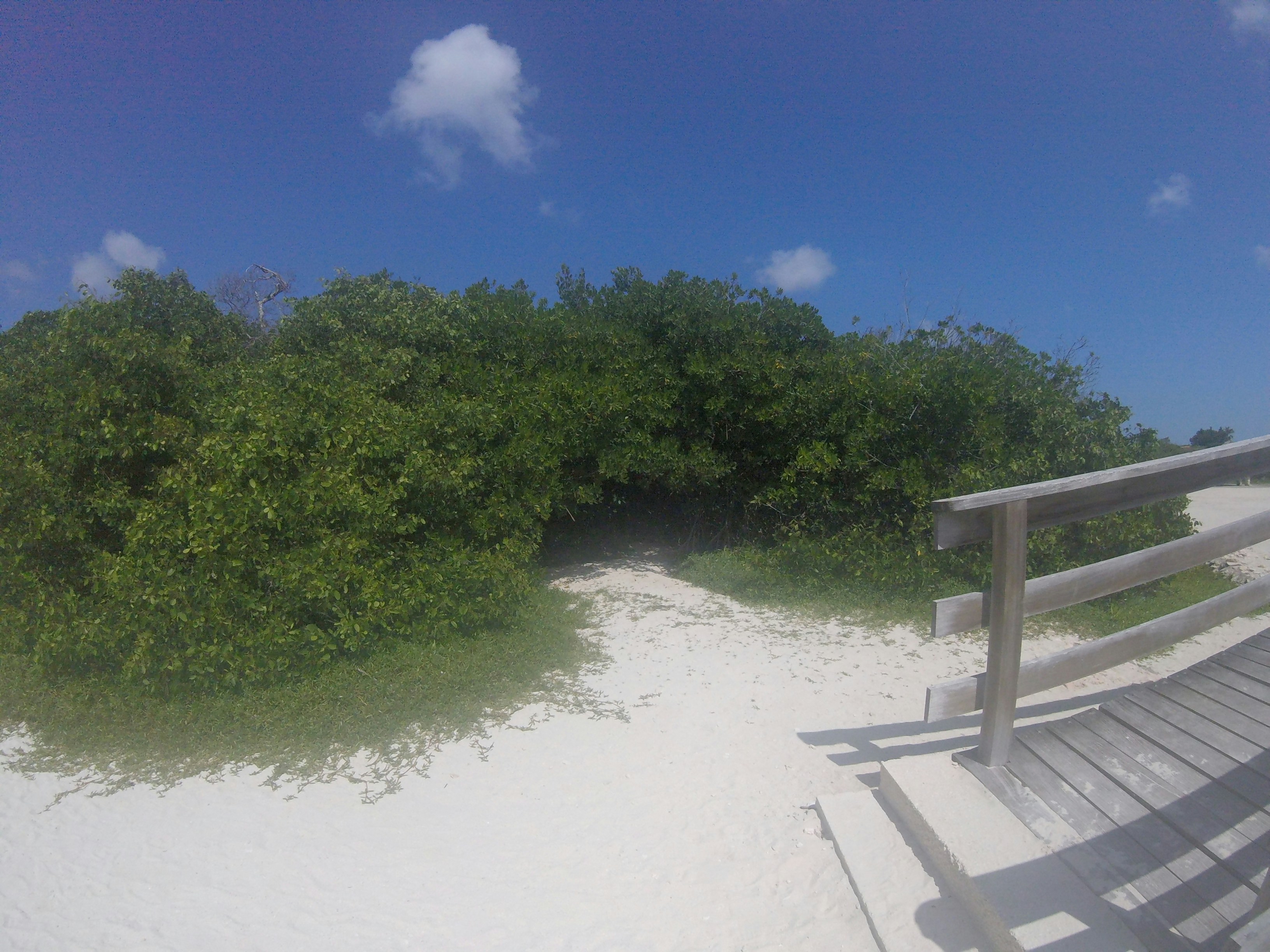 Free Unsplash photo from Erica Thomas