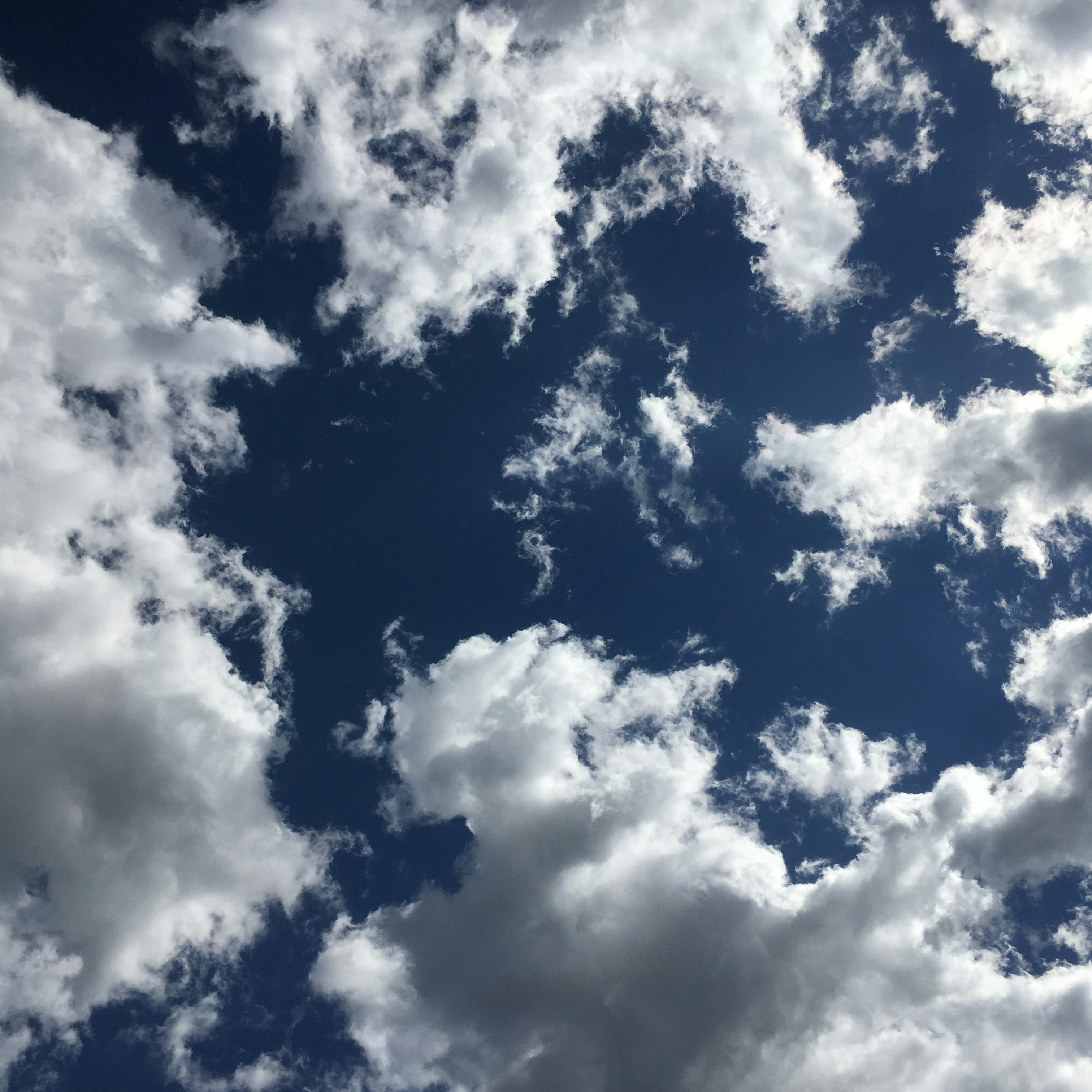 Free Unsplash photo from Susan  Davis