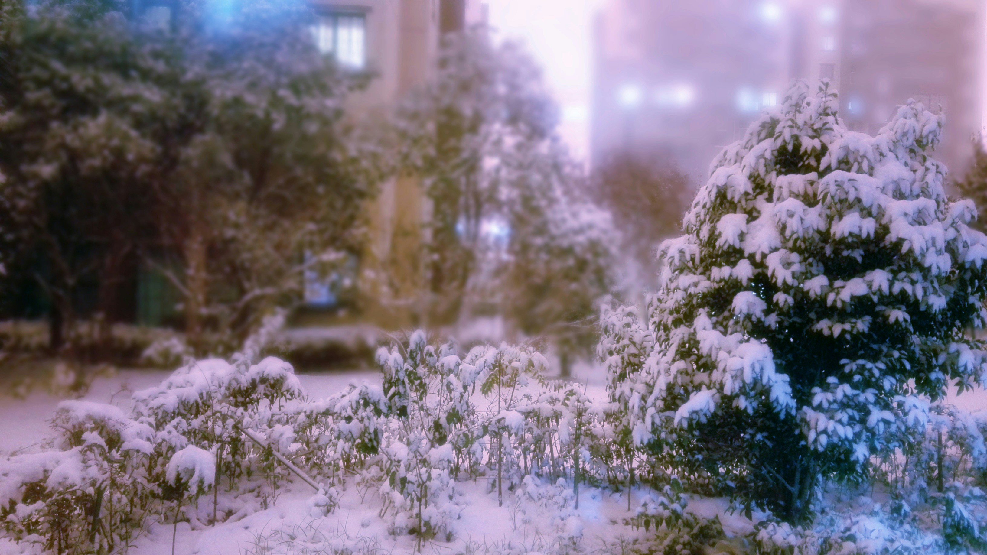 Free Unsplash photo from wobisheng inventor