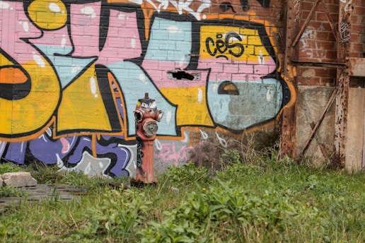 A colorful graffiti mural covers a brick wall with a variety of colors including pink, blue, yellow, and orange. In front of the mural stands a red fire hydrant labeled 'EMI'. The area around the wall is overgrown with green grass and weeds. The wall is part of an old, rusty structure.